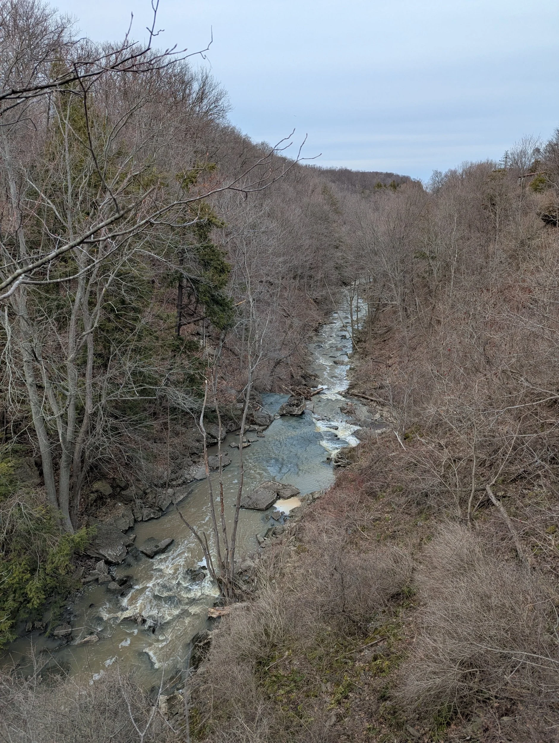 A river flowing through a forest with bare trees on both sides, some rocks in the water, and a cloudy sky overhead.
