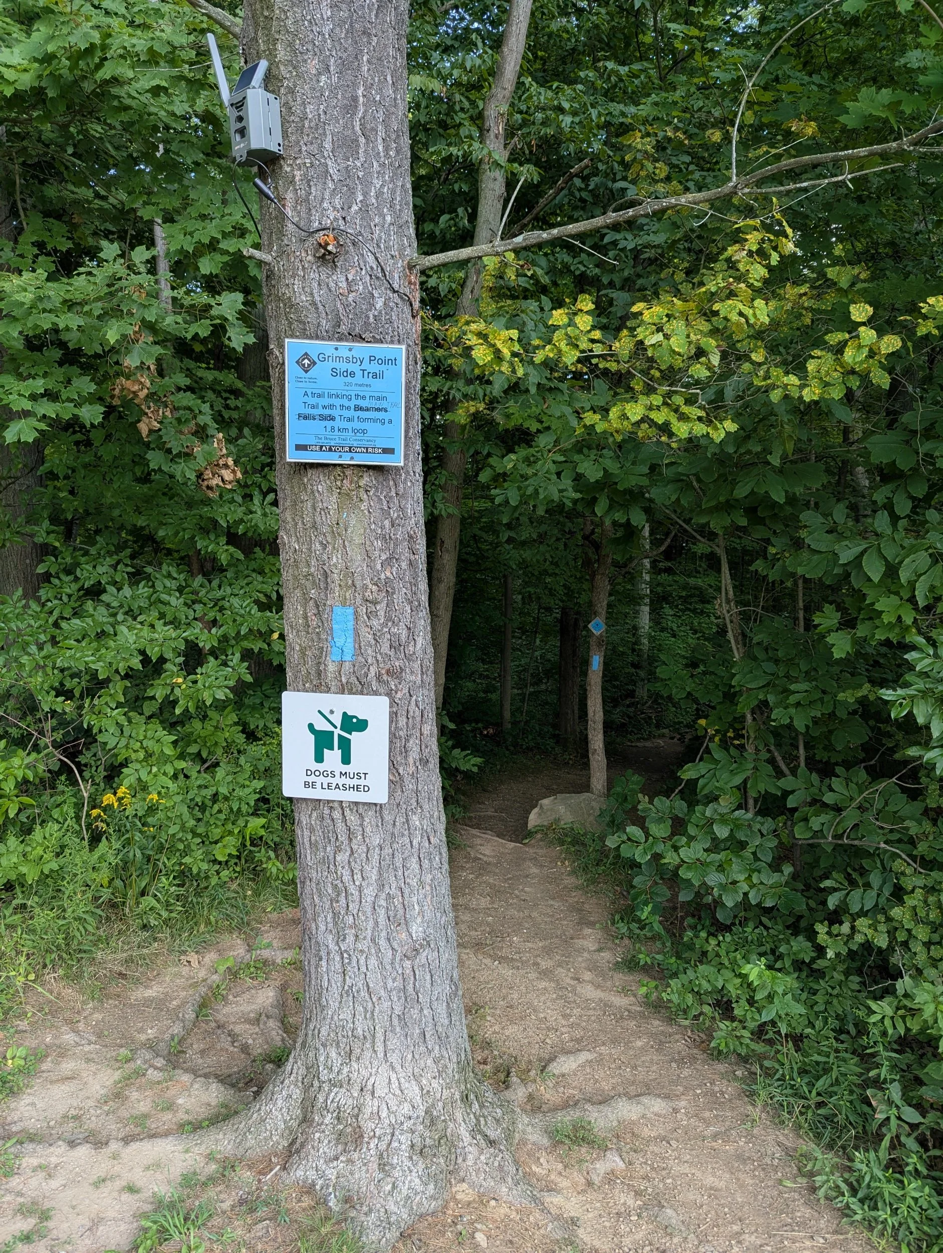 beamer-memorial-conservation-area-grimsby-point-side-trail.jpg