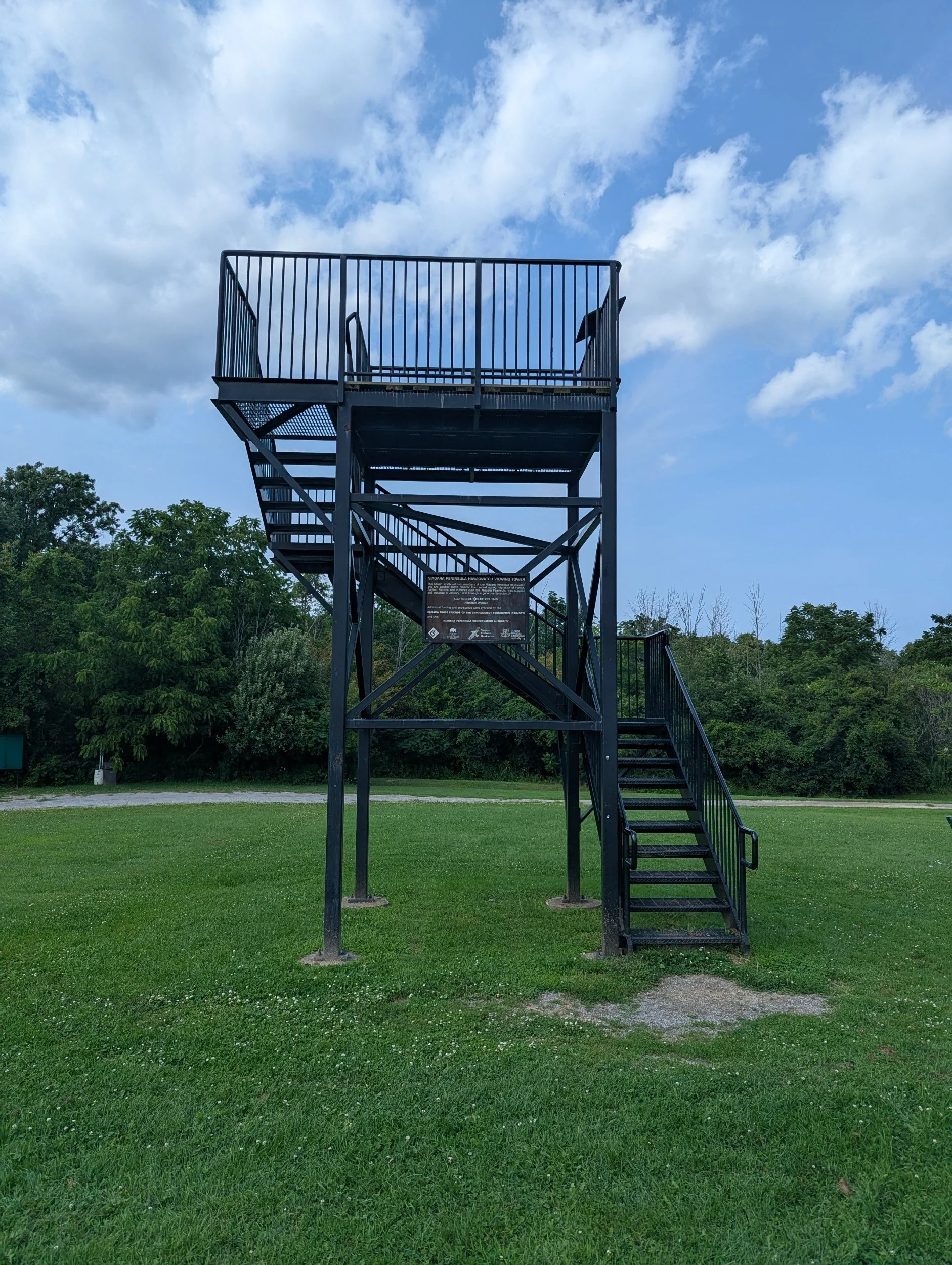 beamer-memorial-conservation-area-hawk-tower.jpg