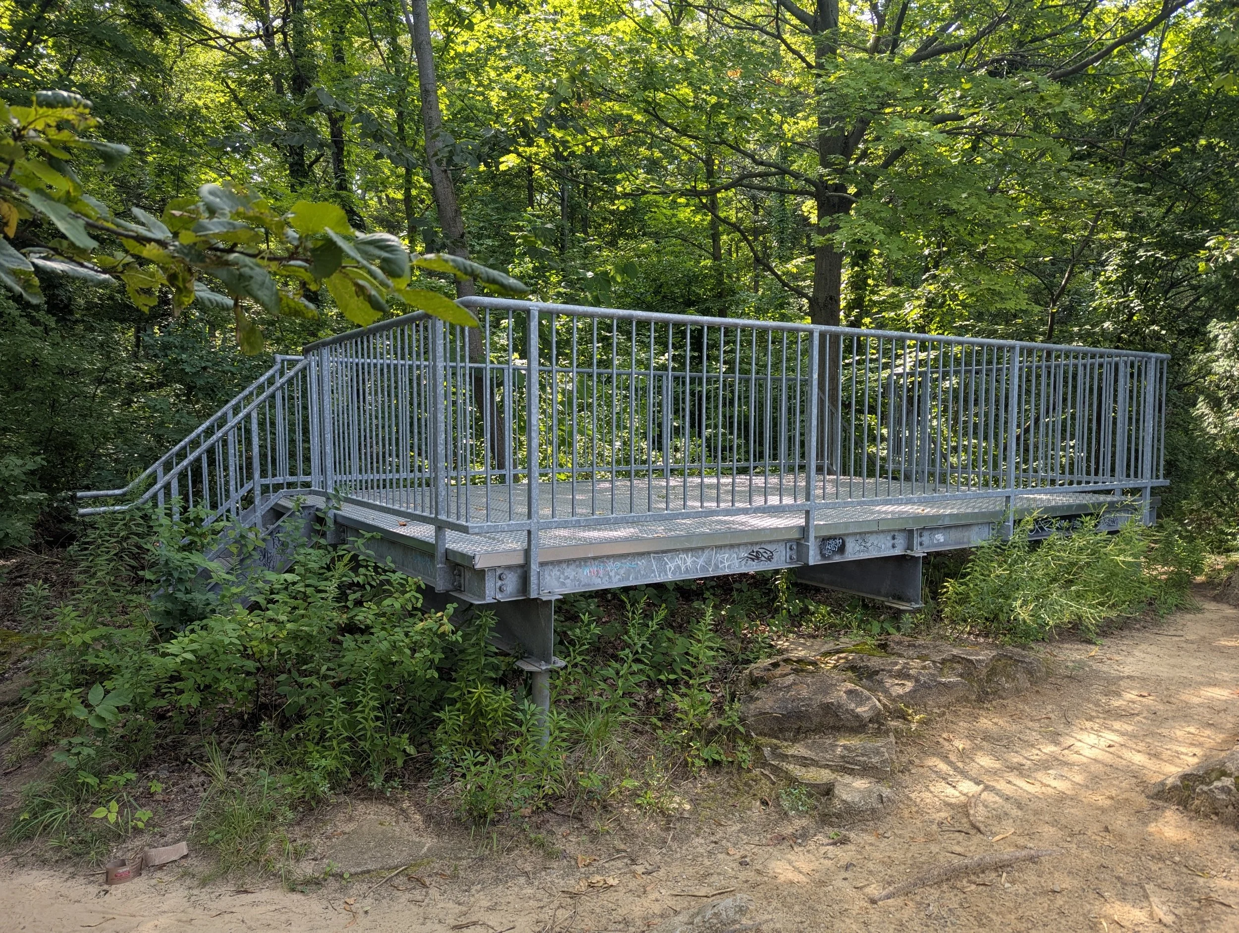 beamer-memorial-conservation-area-lookout-2.jpg