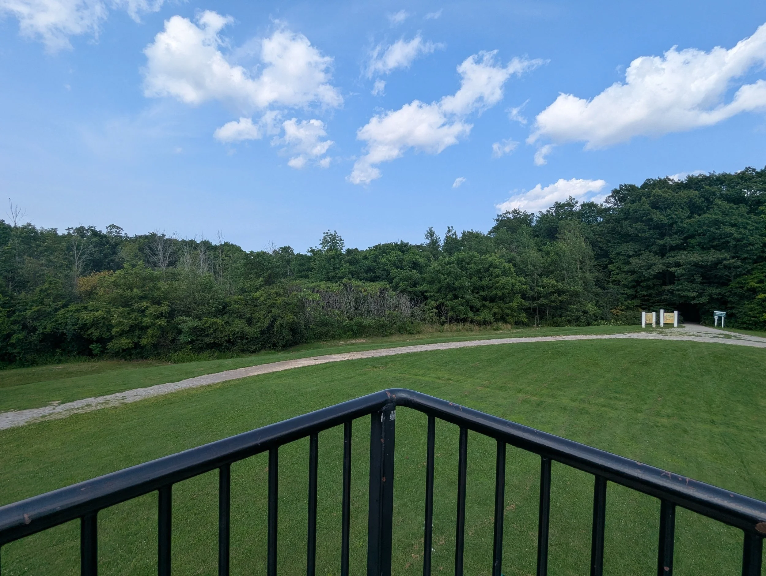 beamer-memorial-conservation-area-tower-view.jpg