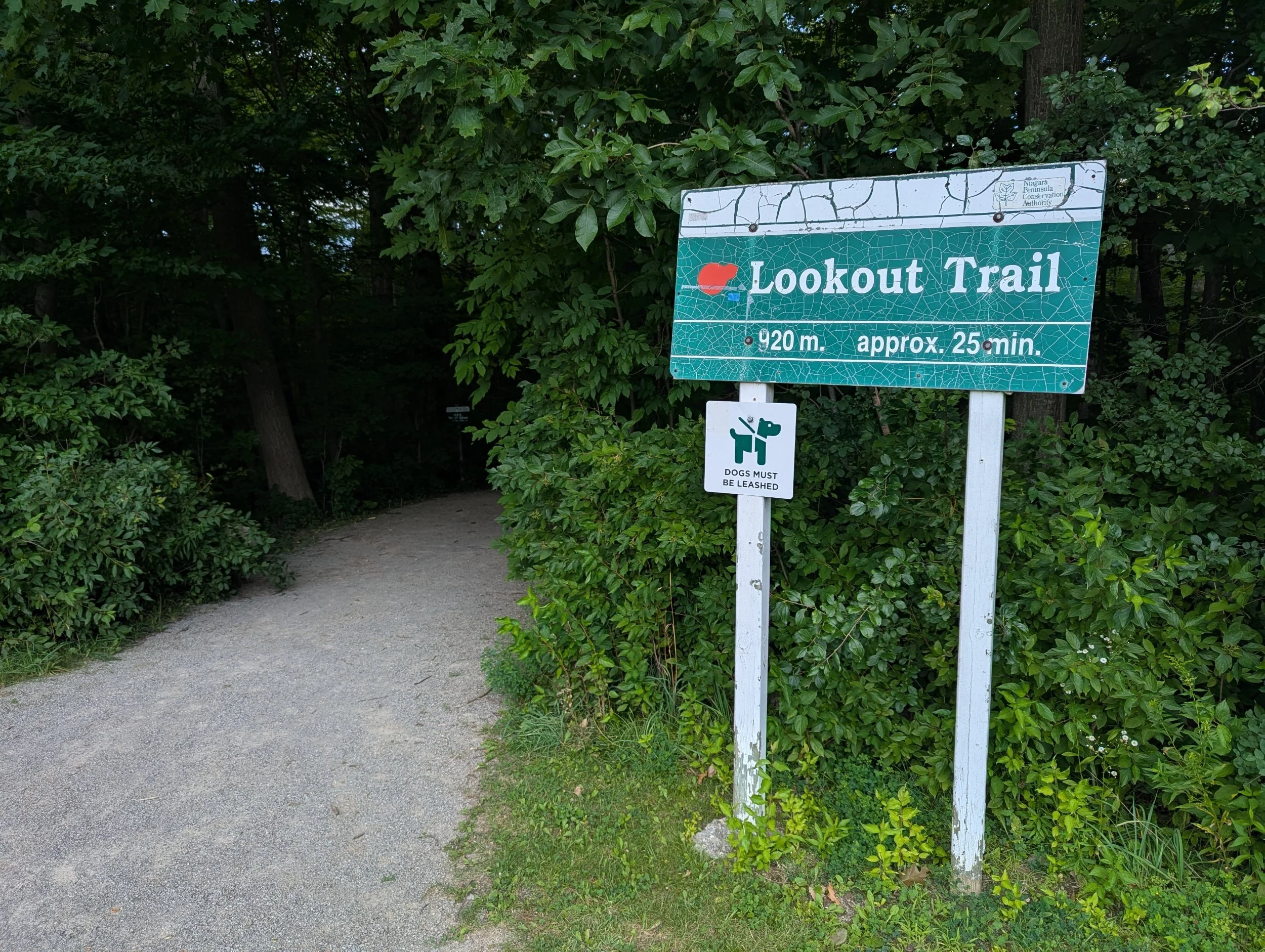 beamer-memorial-conservation-area-lookout-trail.jpg