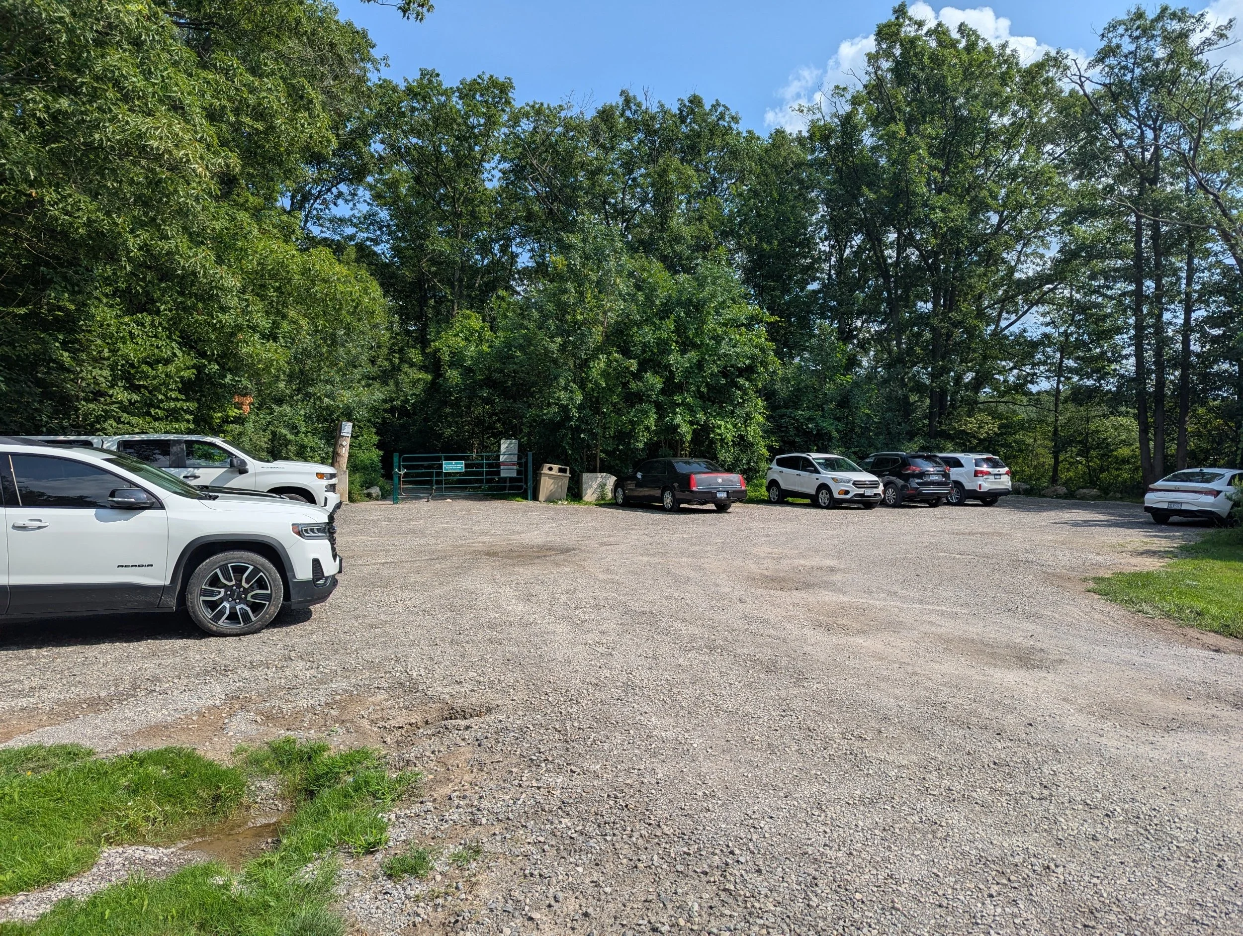 beamer-memorial-conservation-area-parking.jpg