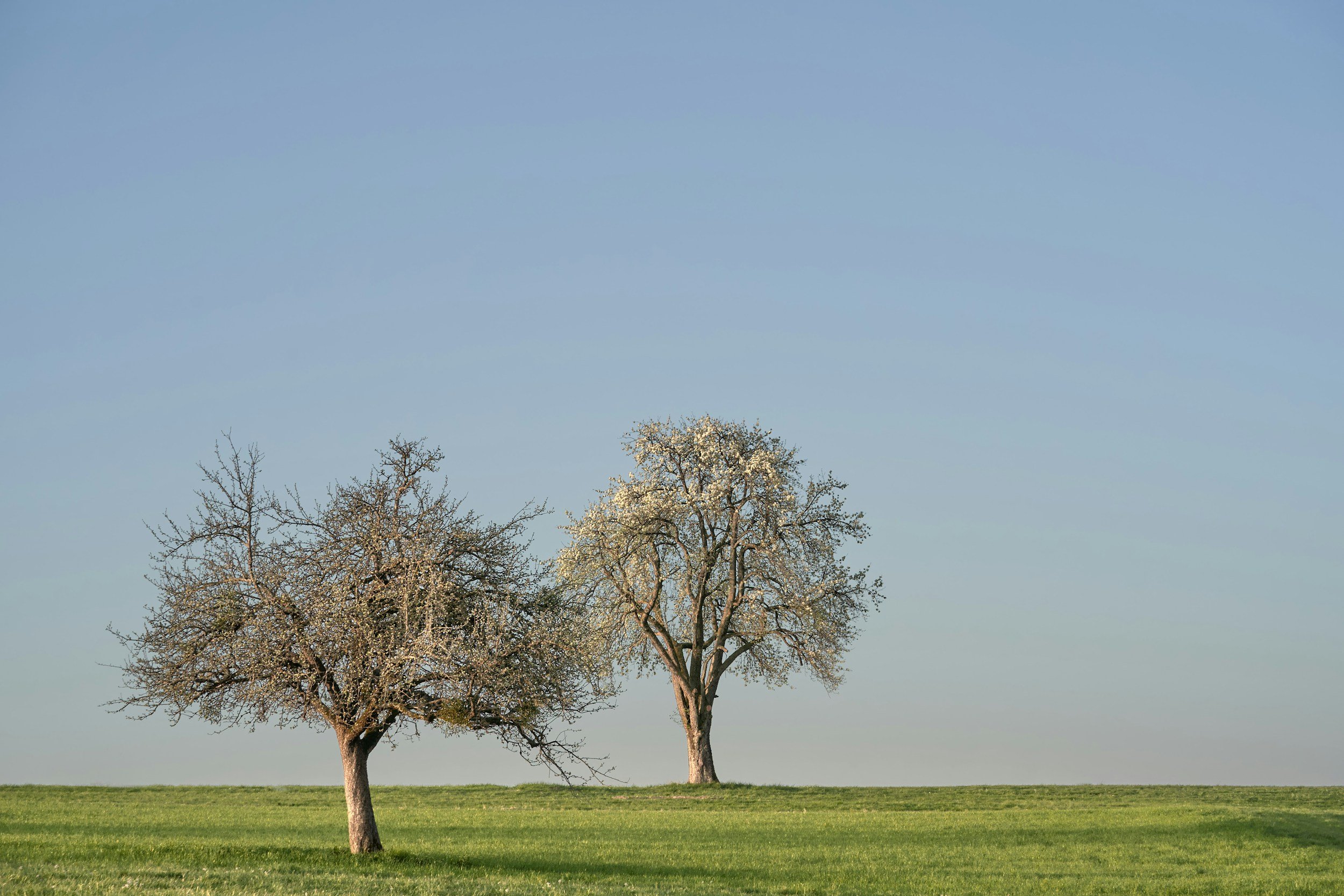 What Is My Attachment Style? The Four Types Explained