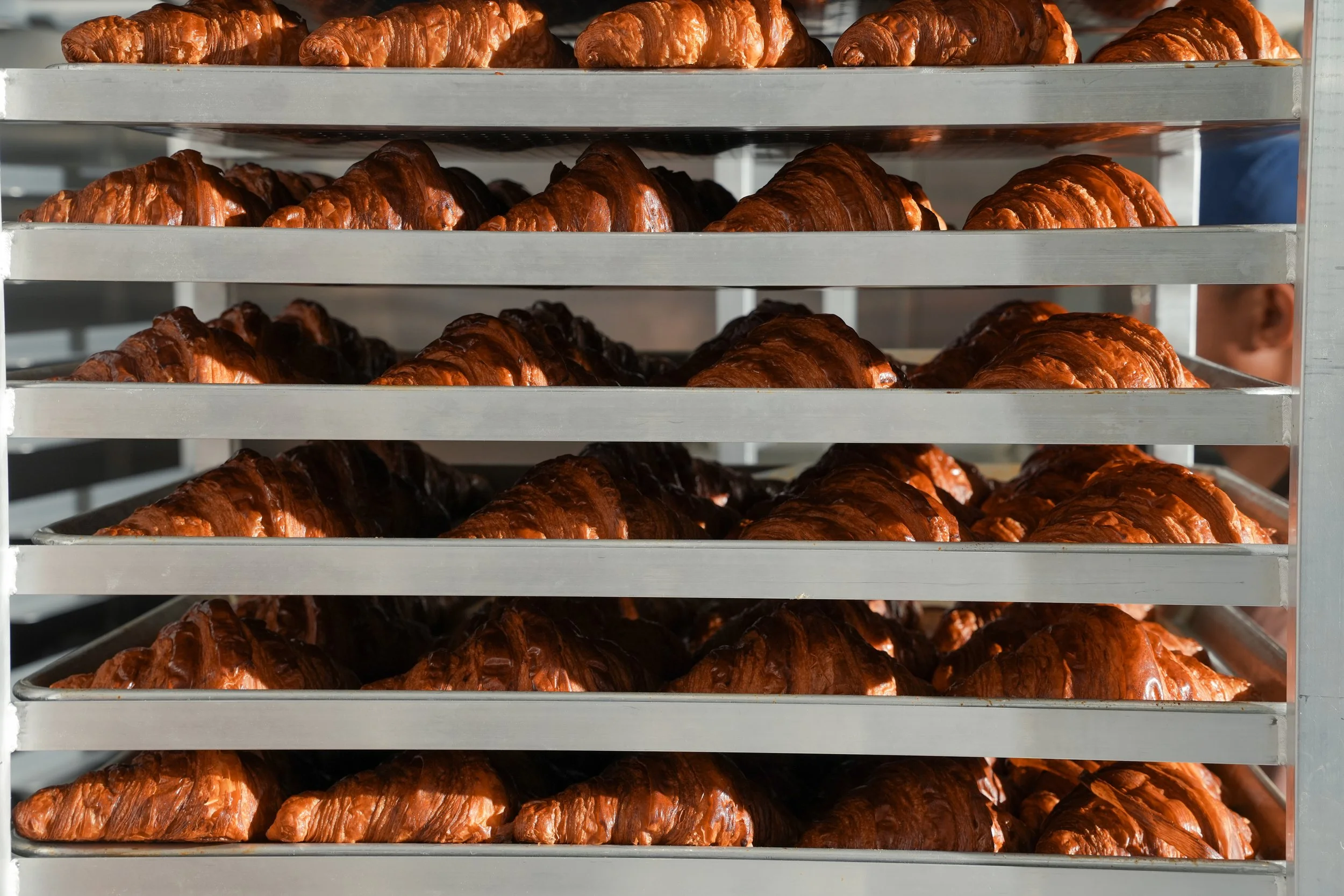 Multiple trays of freshly baked croissants on a commercial bakery rack.