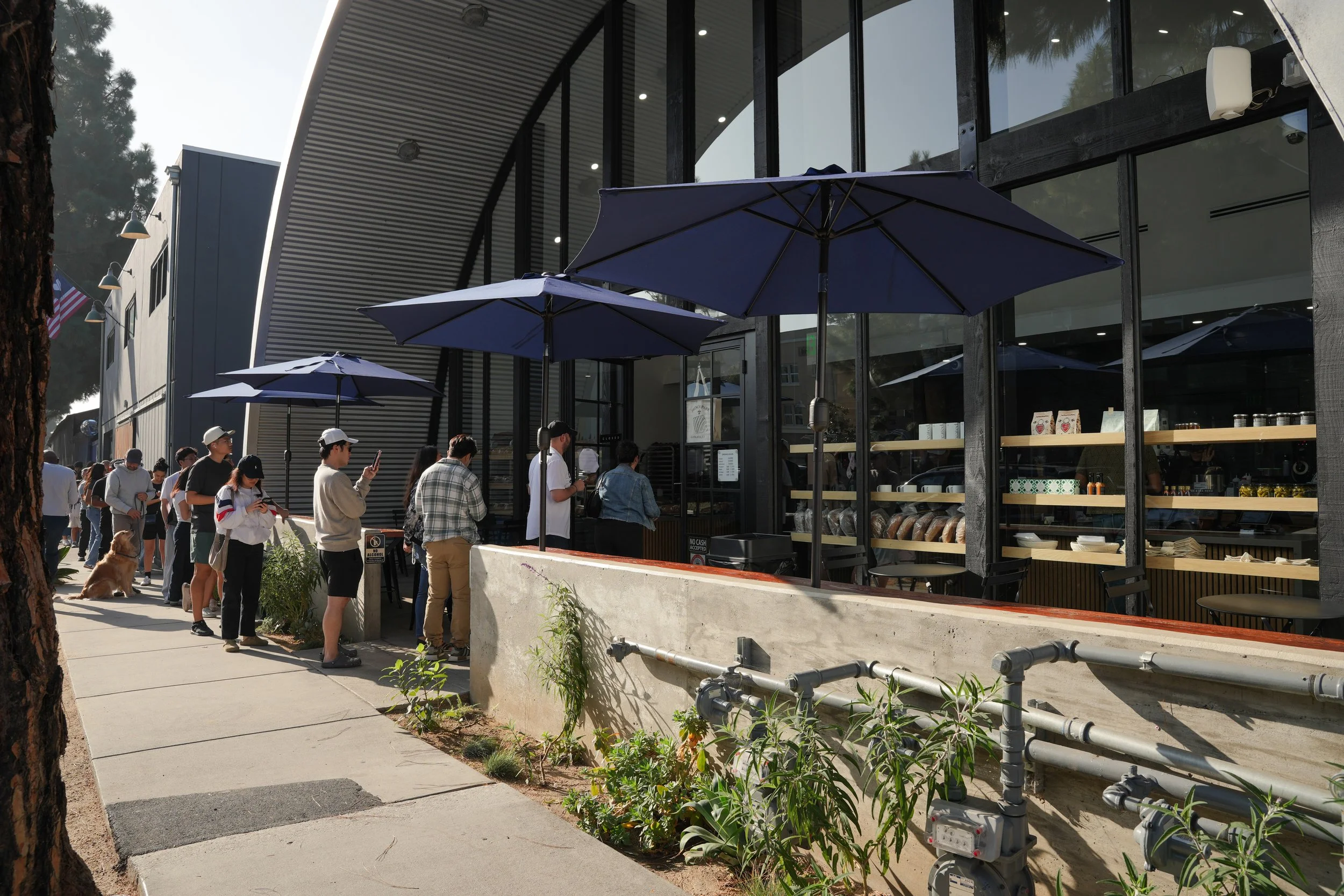 Line of people waiting outside a modern bakery or café, with some using their phones, and a few dogs present, under blue umbrellas, in front of a glass-fronted building.
