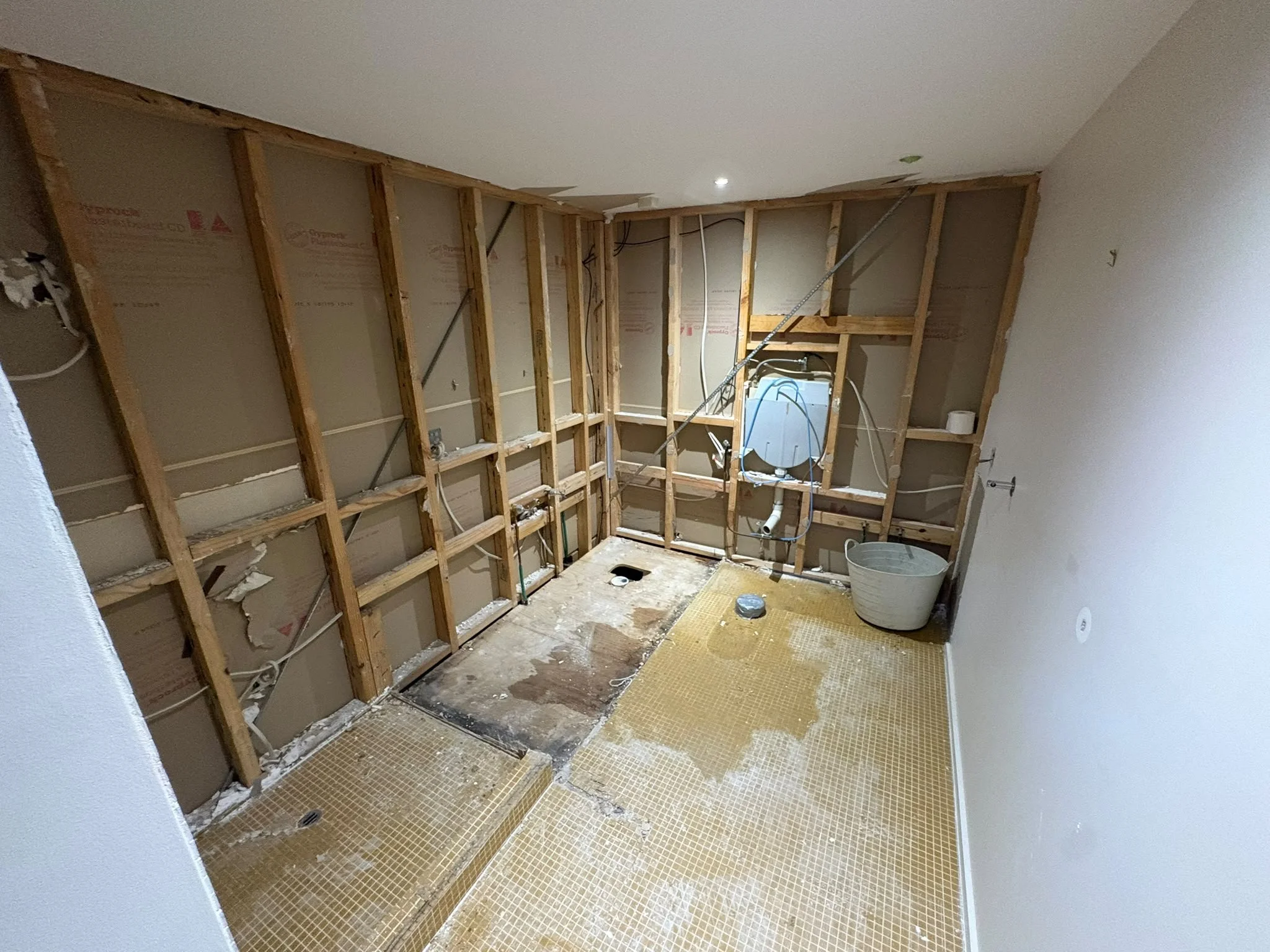 Bathroom under renovation with exposed wall framing, plumbing, and an incomplete floor removal.