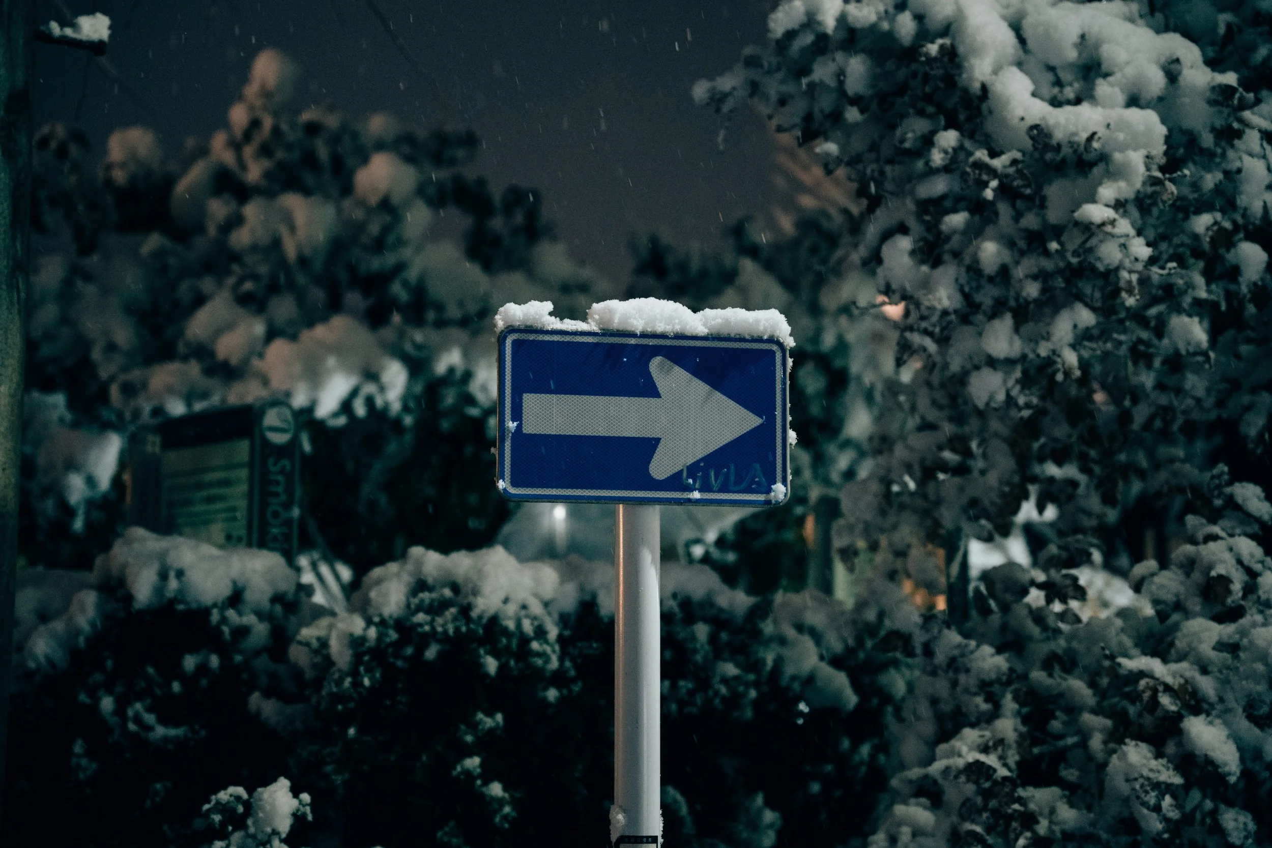 A blue directional traffic sign with a white arrow pointing to the right, covered with snow, against a background of snow-covered trees at night.