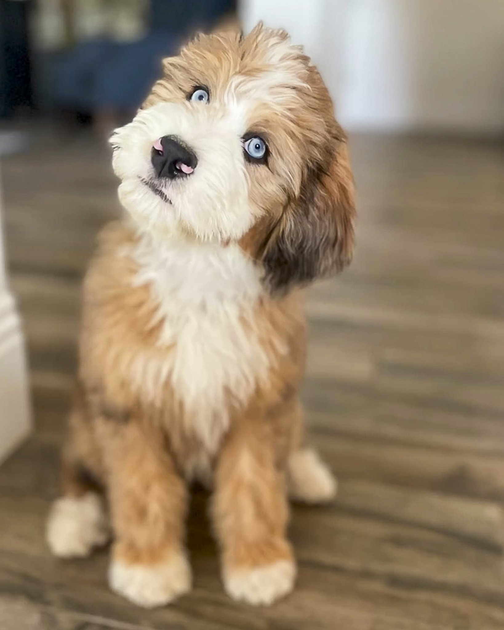 SafeHavynn pics-7.jpg