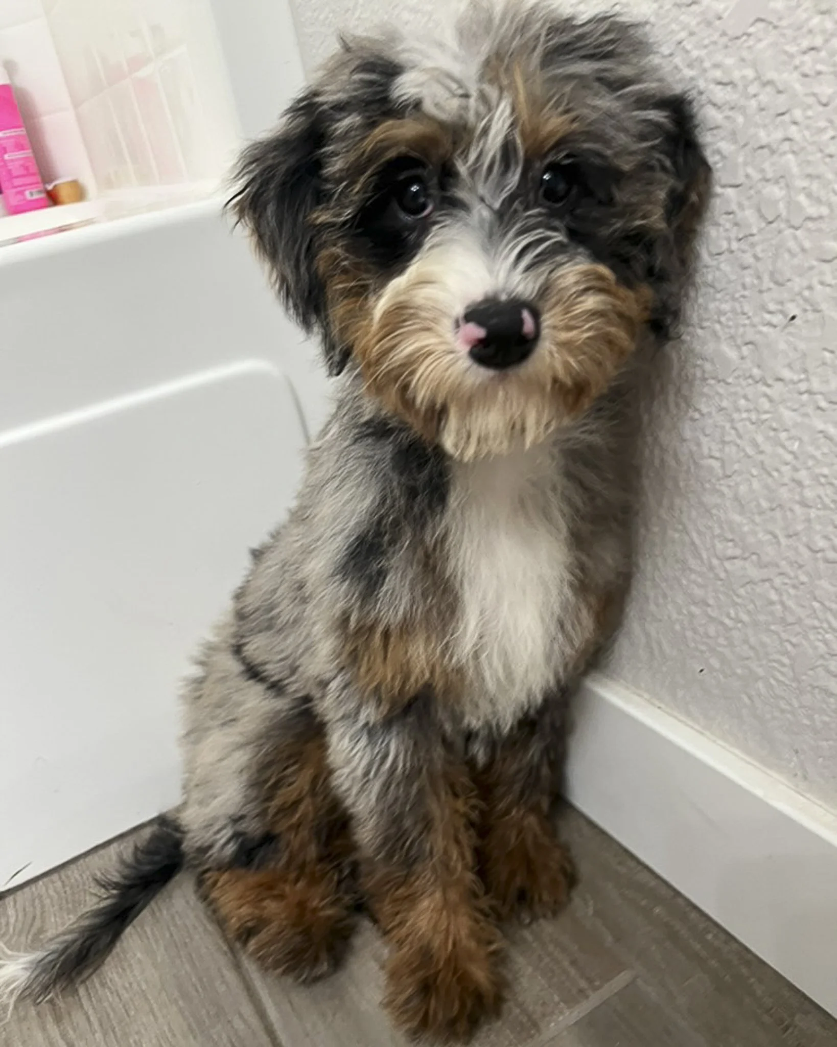 SafeHavynn pics-2.jpg