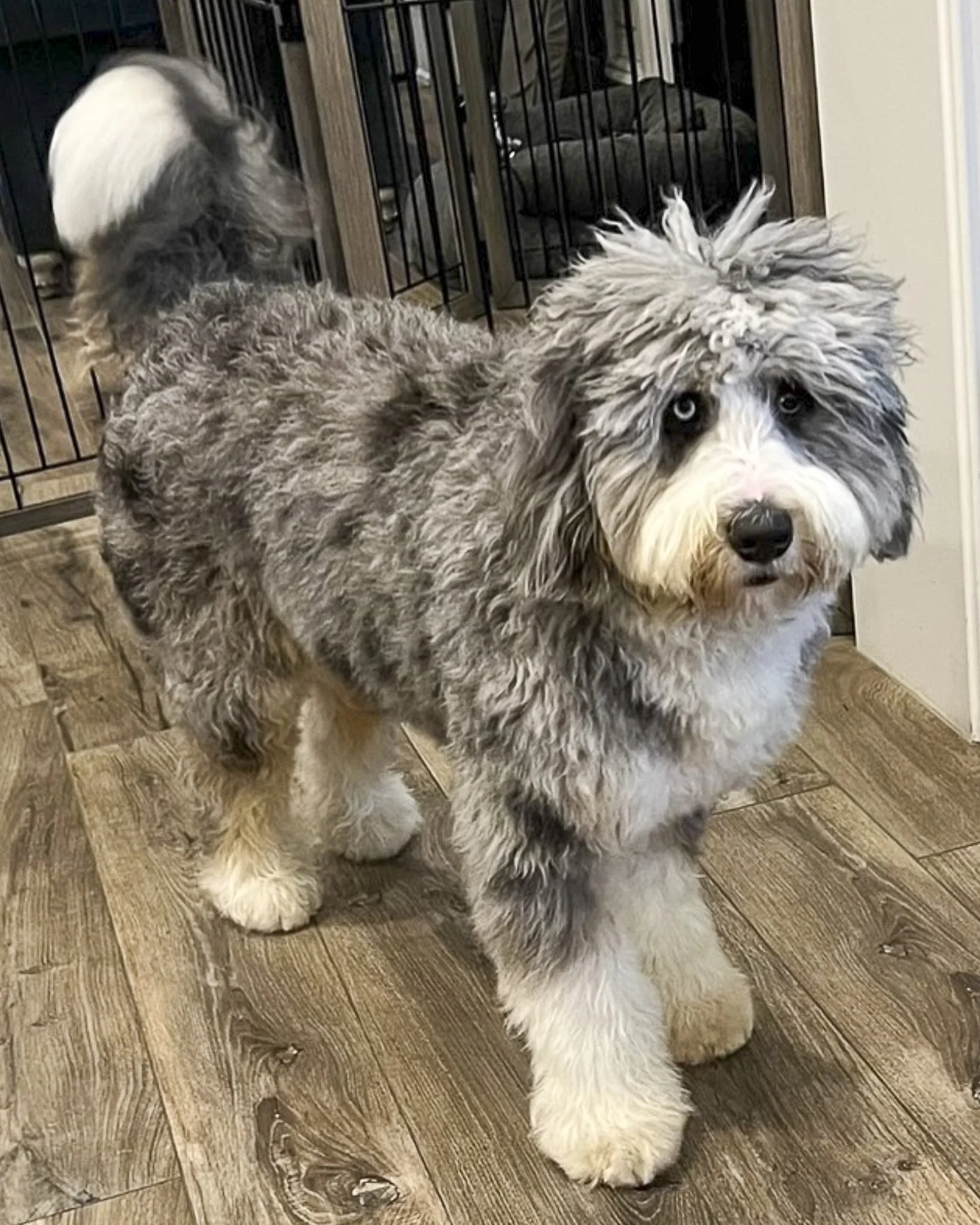 SafeHavynn pics-5.jpg