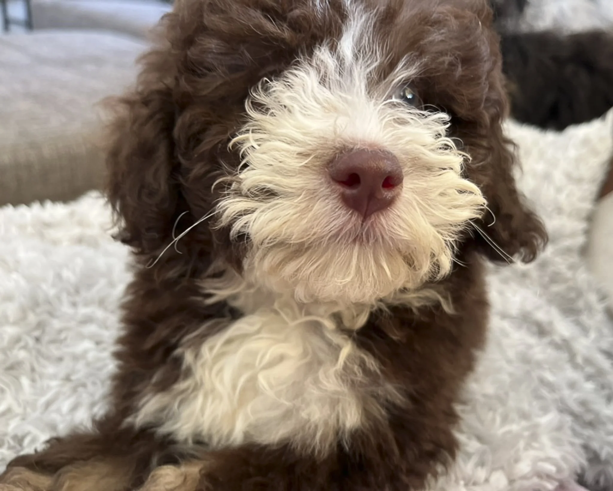 SafeHavynn pics-4.jpg