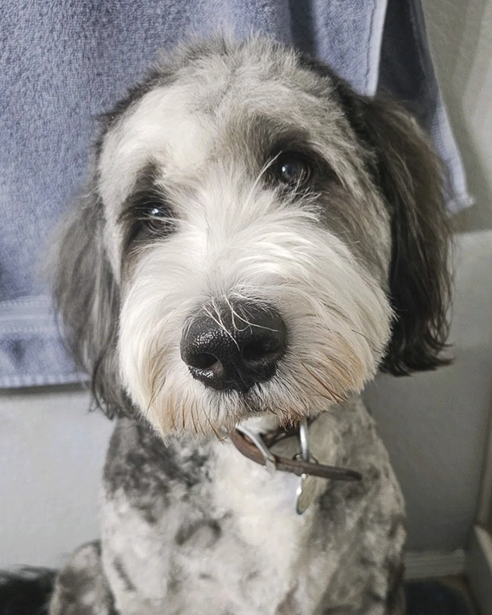 SafeHavynn pics-6.jpg