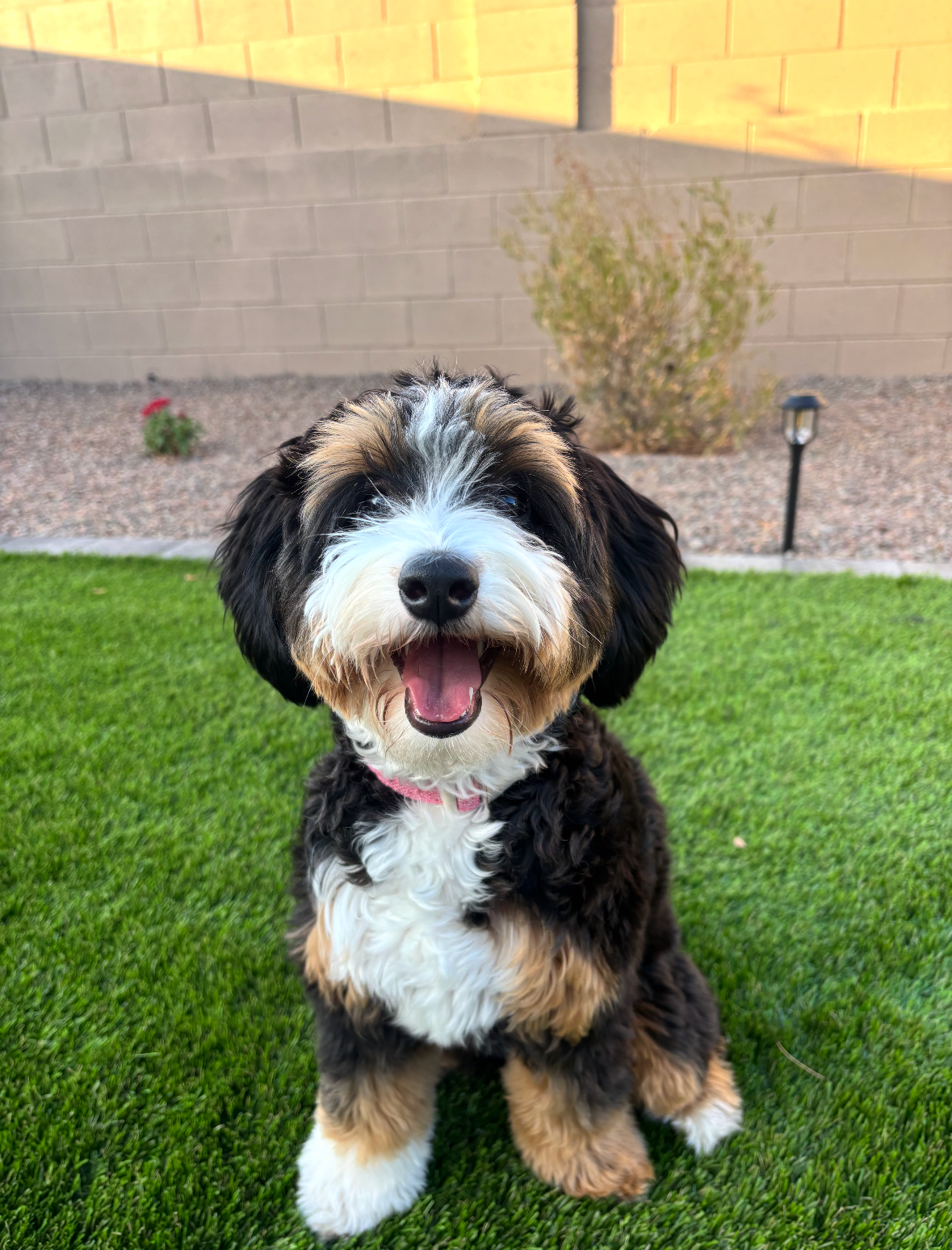 Screenshot 2026-02-22 at 7.34.50 PM.png