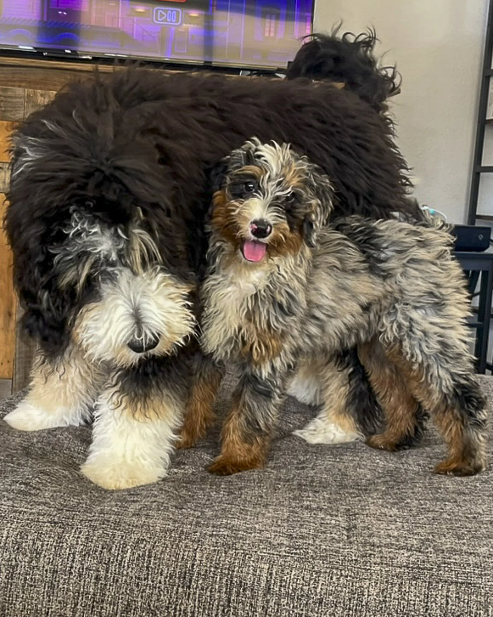 SafeHavynn pics-3.jpg