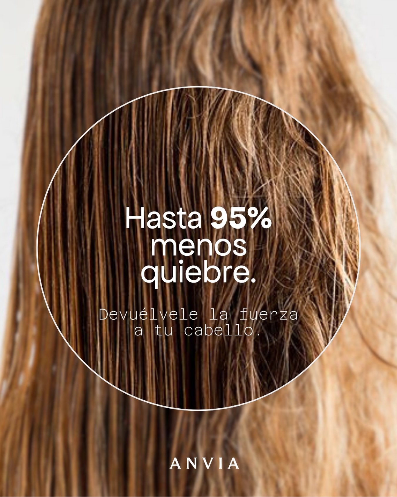 Descubre nuestras ampolletas 🍃
Adi&oacute;s al quiebre. 
Nuestra f&oacute;rmula de alta gama repara la fibra capilar, garantizando hasta un 95% menos quiebre desde la primera aplicaci&oacute;n. Resultados que hablan por s&iacute; solos.