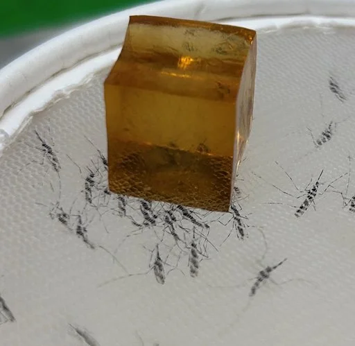 Inventions filed for novel larvicidal pellets and attractive toxic sugar bait formulations