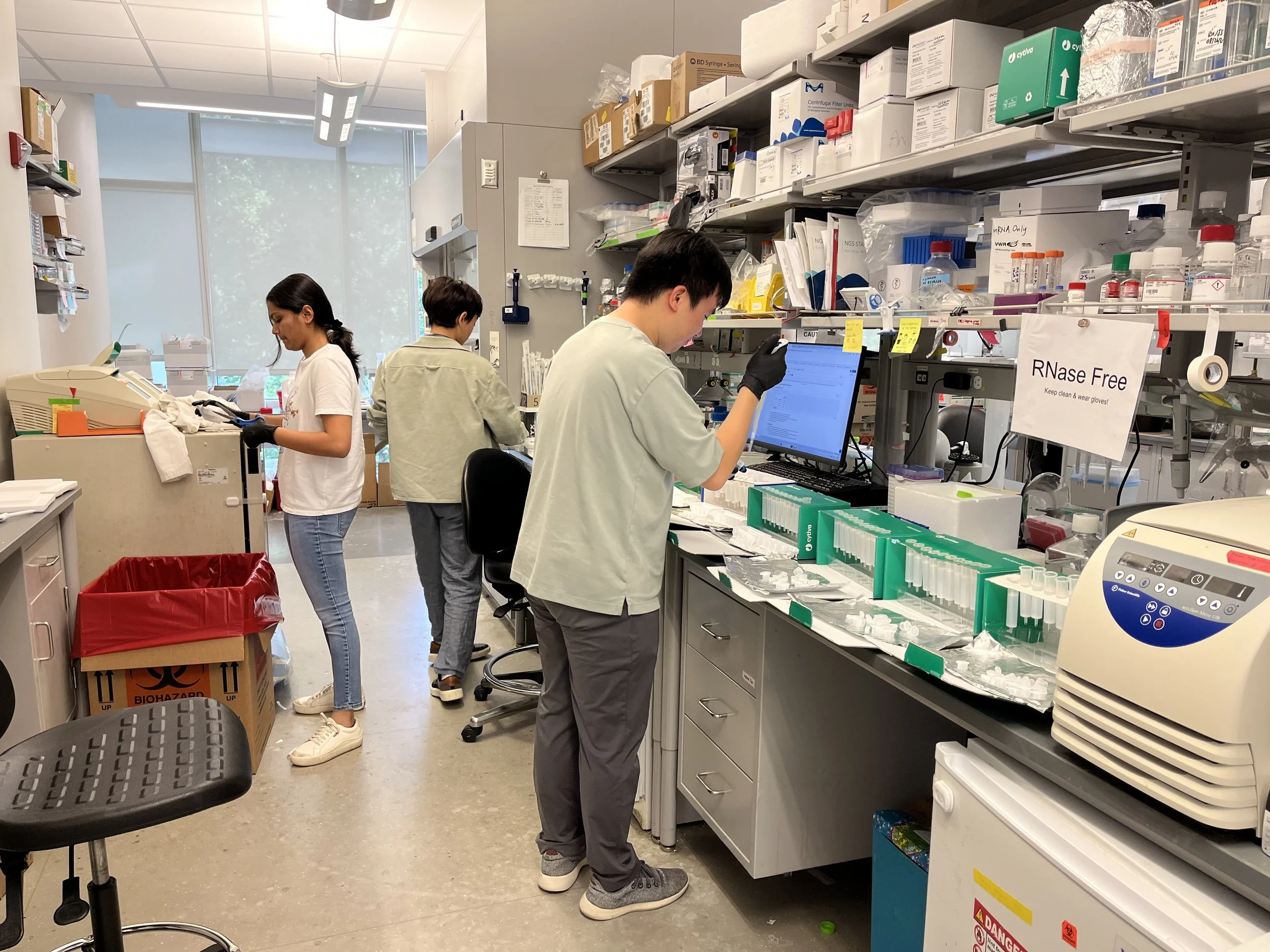Team APN at Georgia Tech working on paper revision studies
