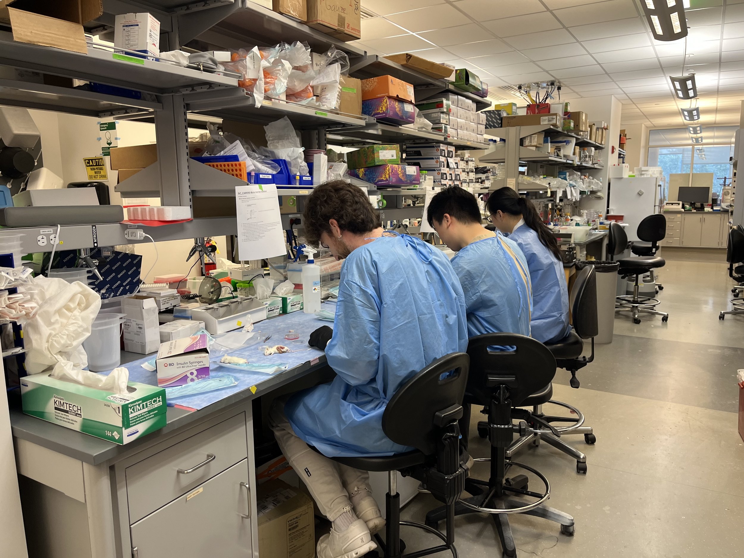 Team APN (Jamey, Sean, Jinhee) working on revision studies at Georgia Tech