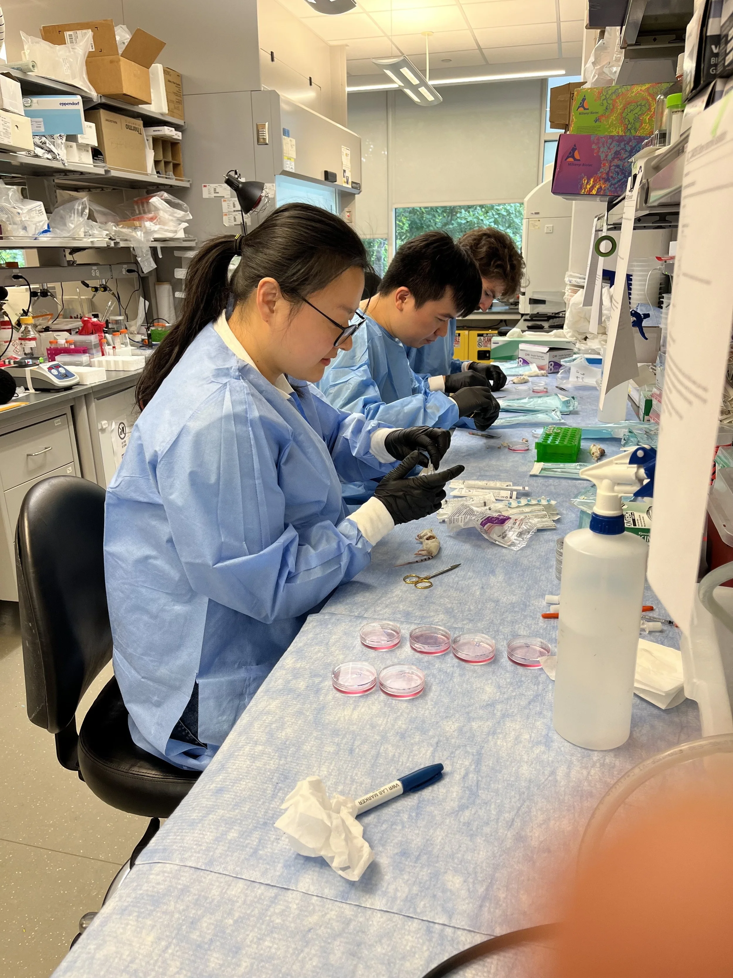 Team APN (Jinhee, Sean, Jamey) working on revision studies at Georgia Tech