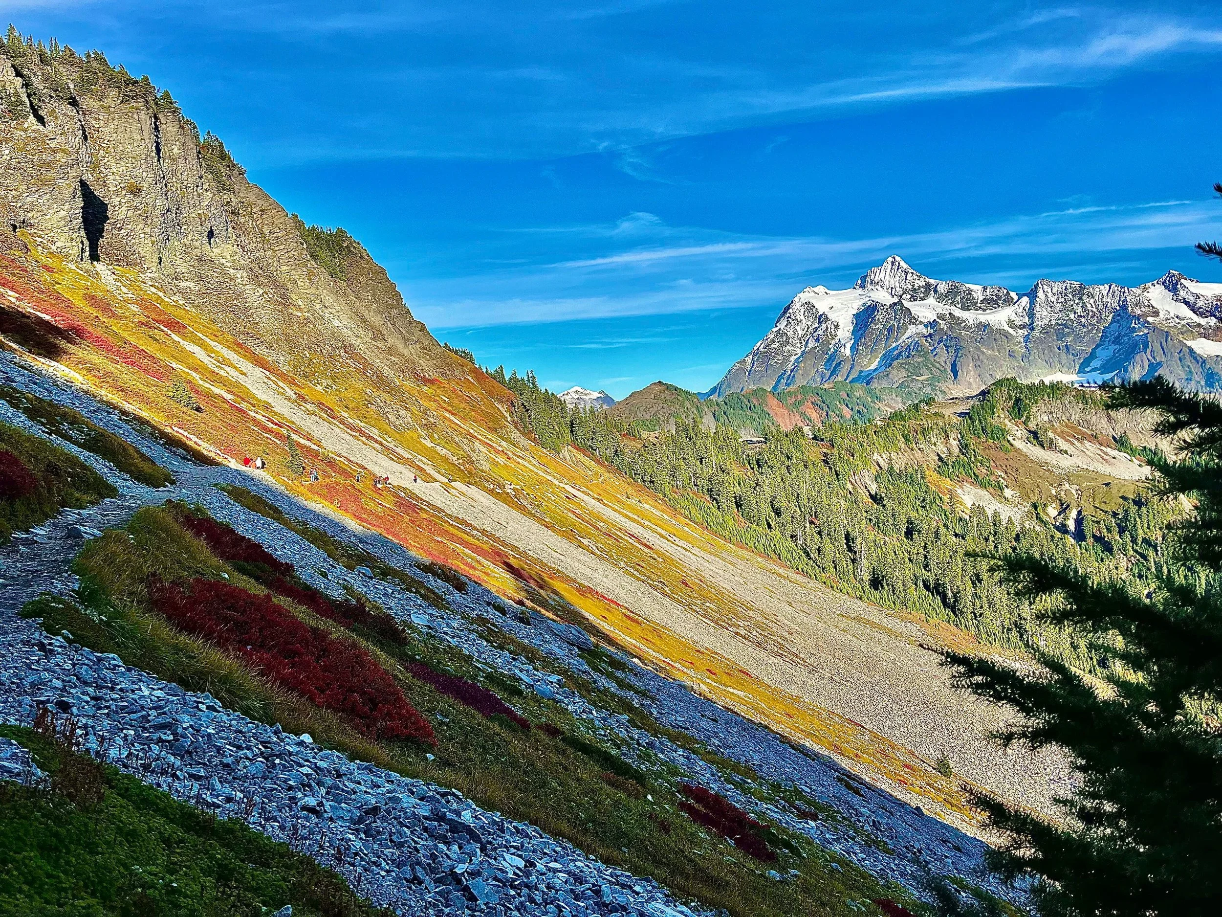 Mountain landscape with colorful slope in foreground, green forest, and snow-capped mountains in the background under a blue sky.