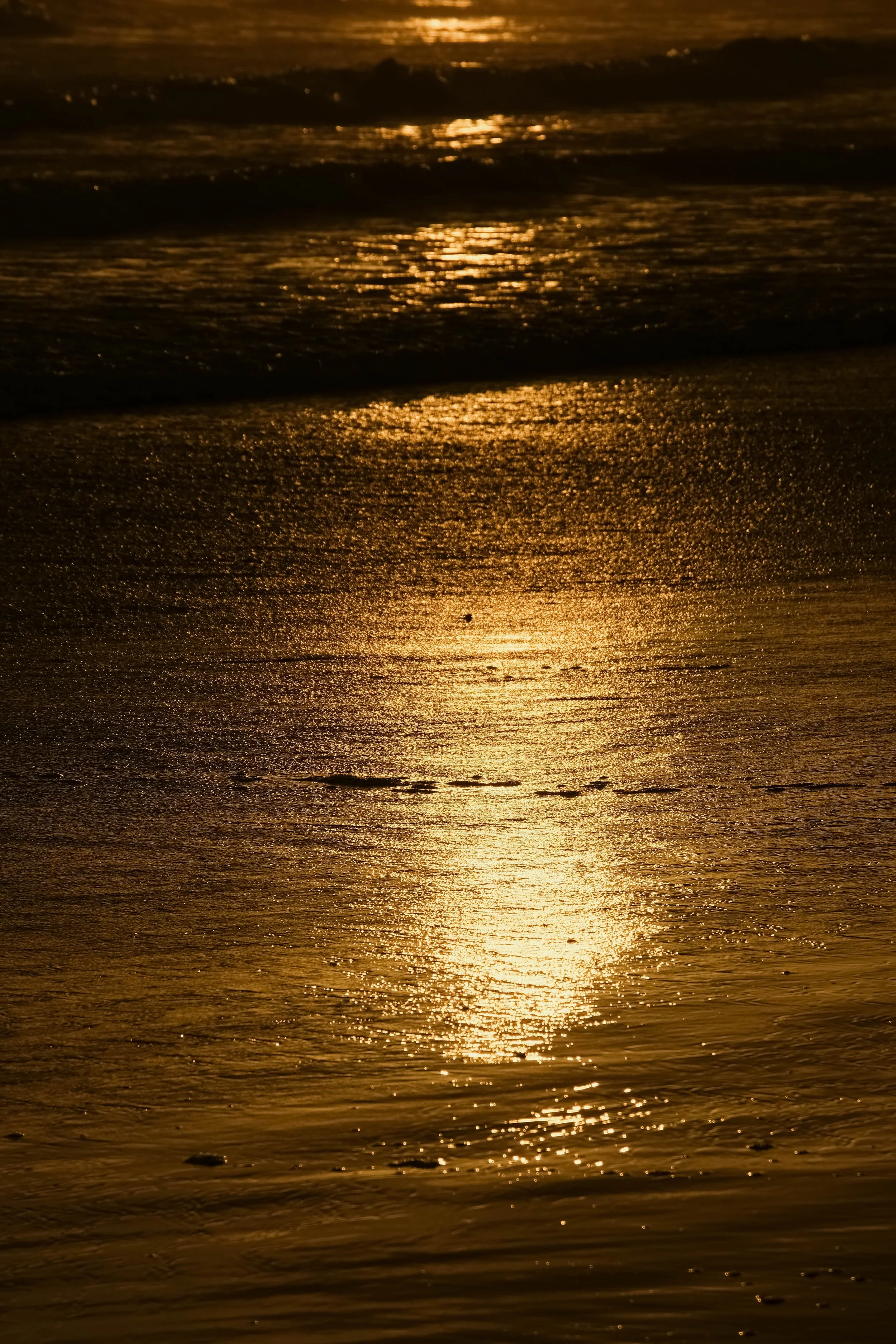Photograph of a sunset over the ocean with reflections on the water and a sandy beach in the foreground.