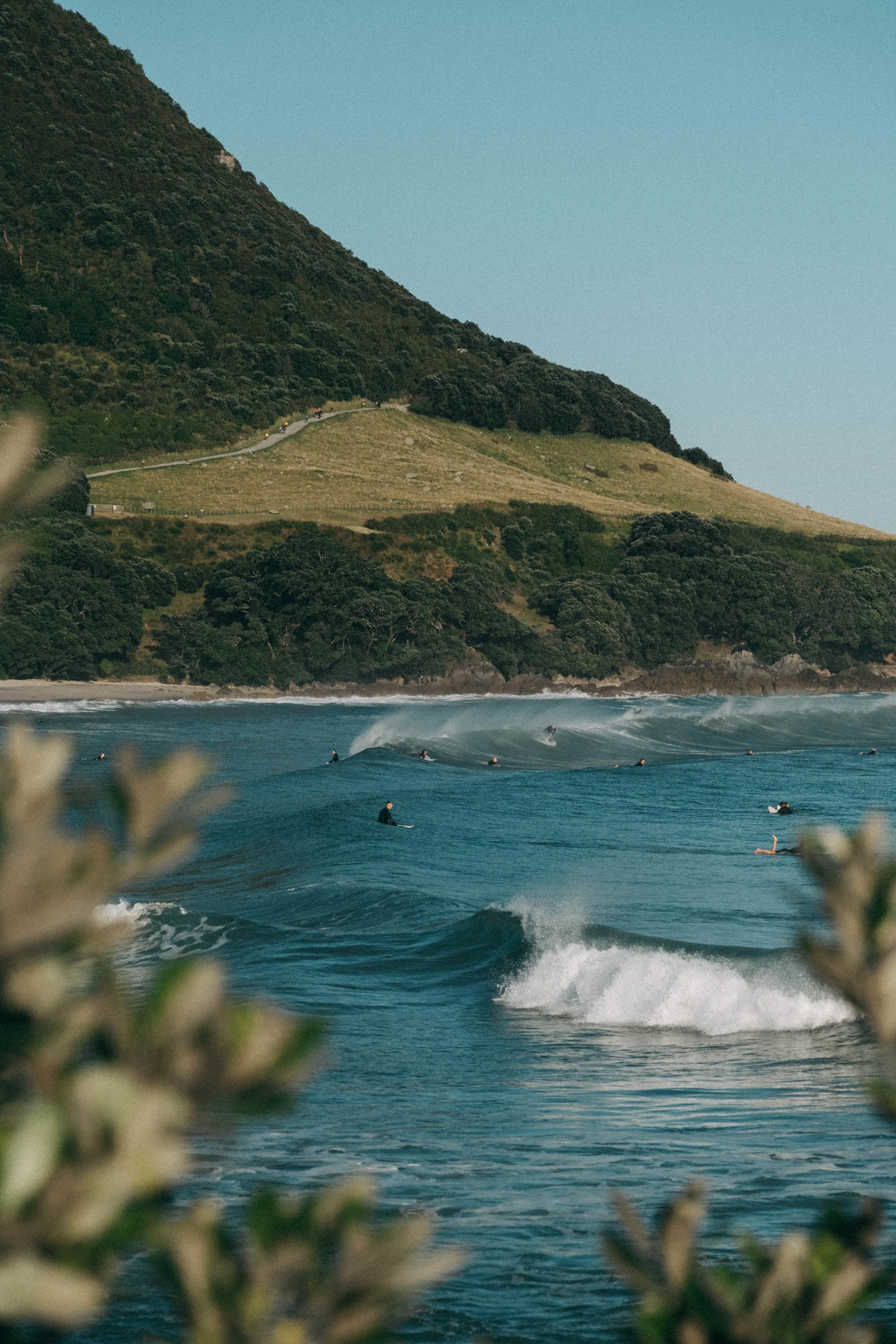 A coastal landscape with a hillside covered in green vegetation and a winding trail. The shoreline features waves with surfers riding the surf under a clear blue sky.