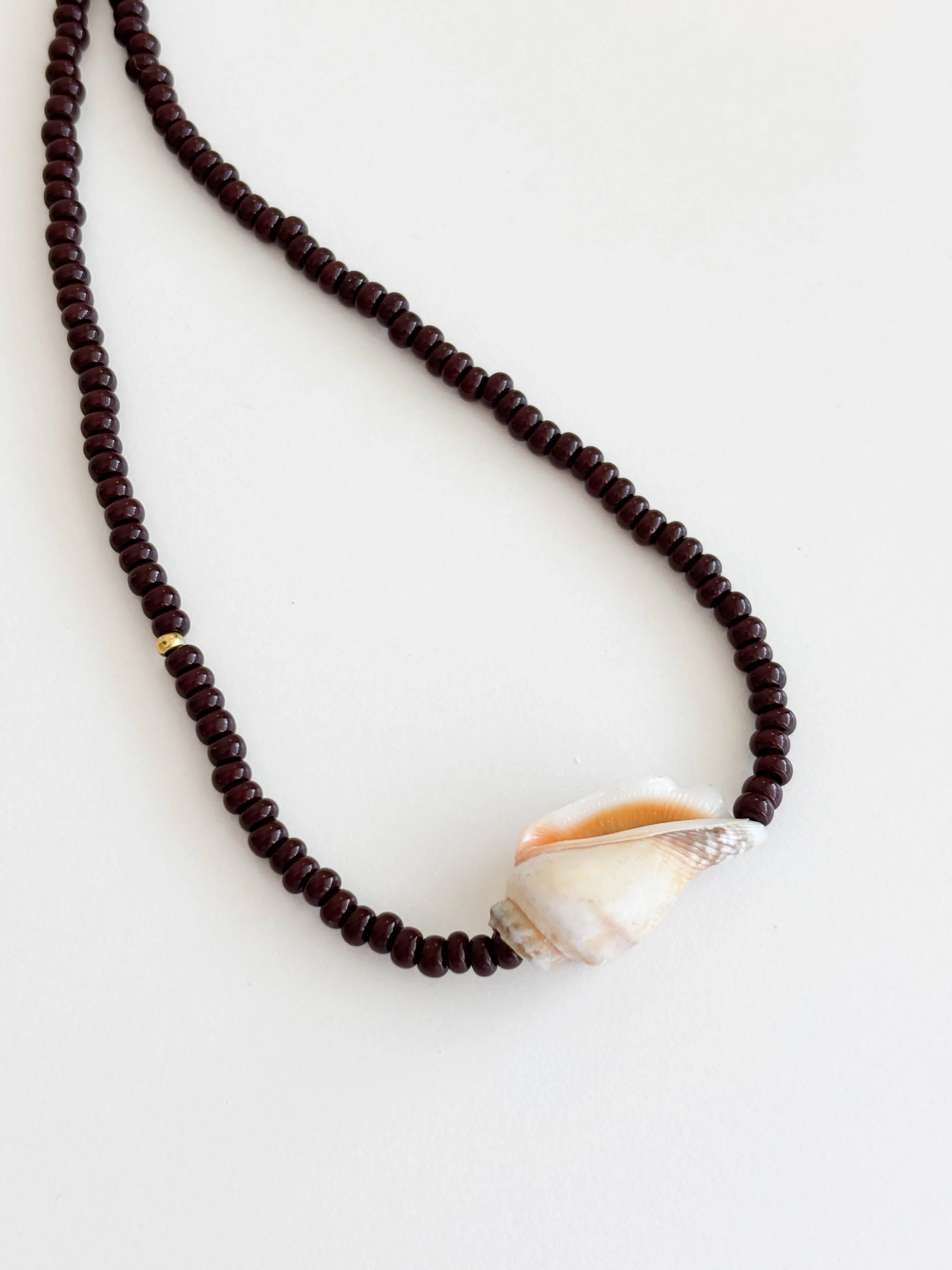 IMG_7602.jpg