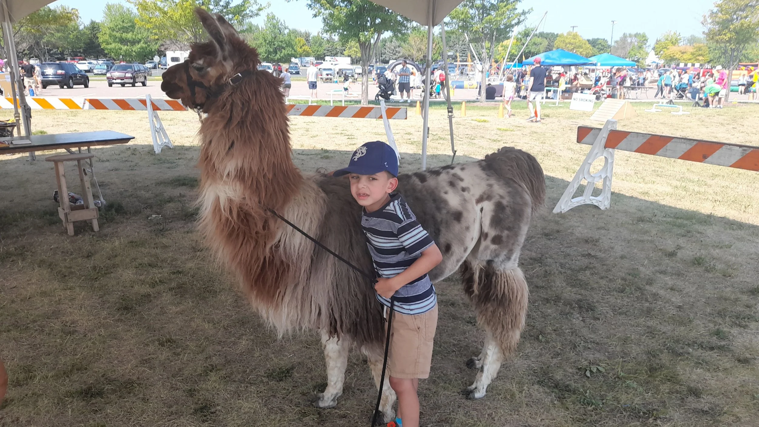A young boy in a striped shirt and tan shorts is holding a leash attached to a llama at an outdoor fair or festival. The llama has a brown and white coat and is standing under a tent. In the background, there are several tents, people, and parked car