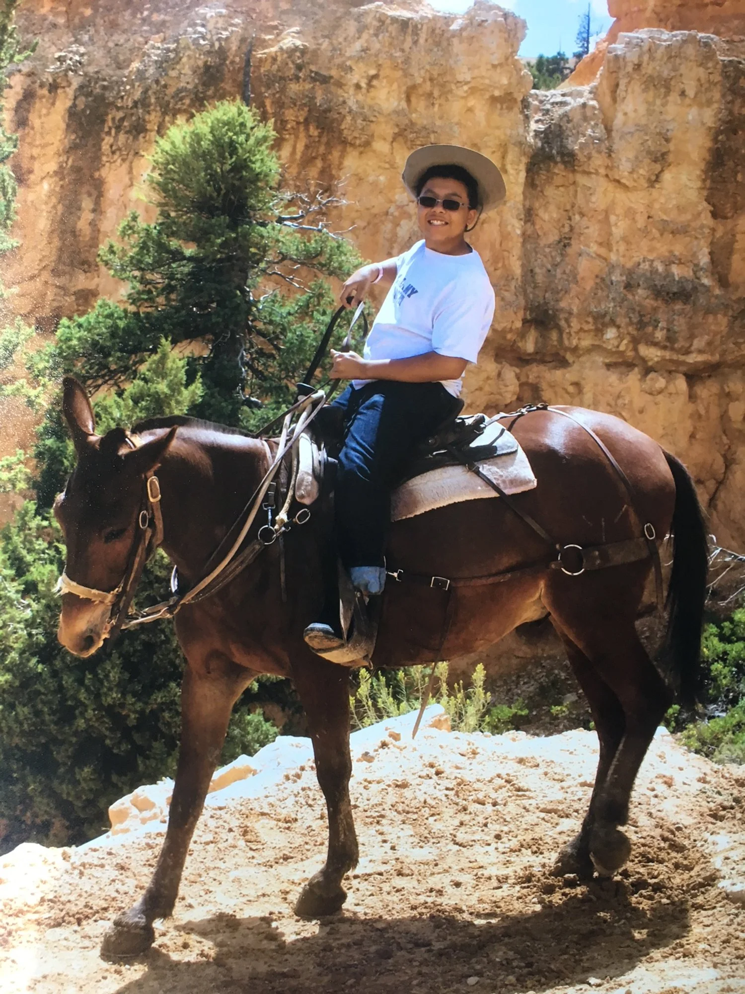 Person riding a brown horse in a rocky outdoor area with green trees and cliffs in the background.