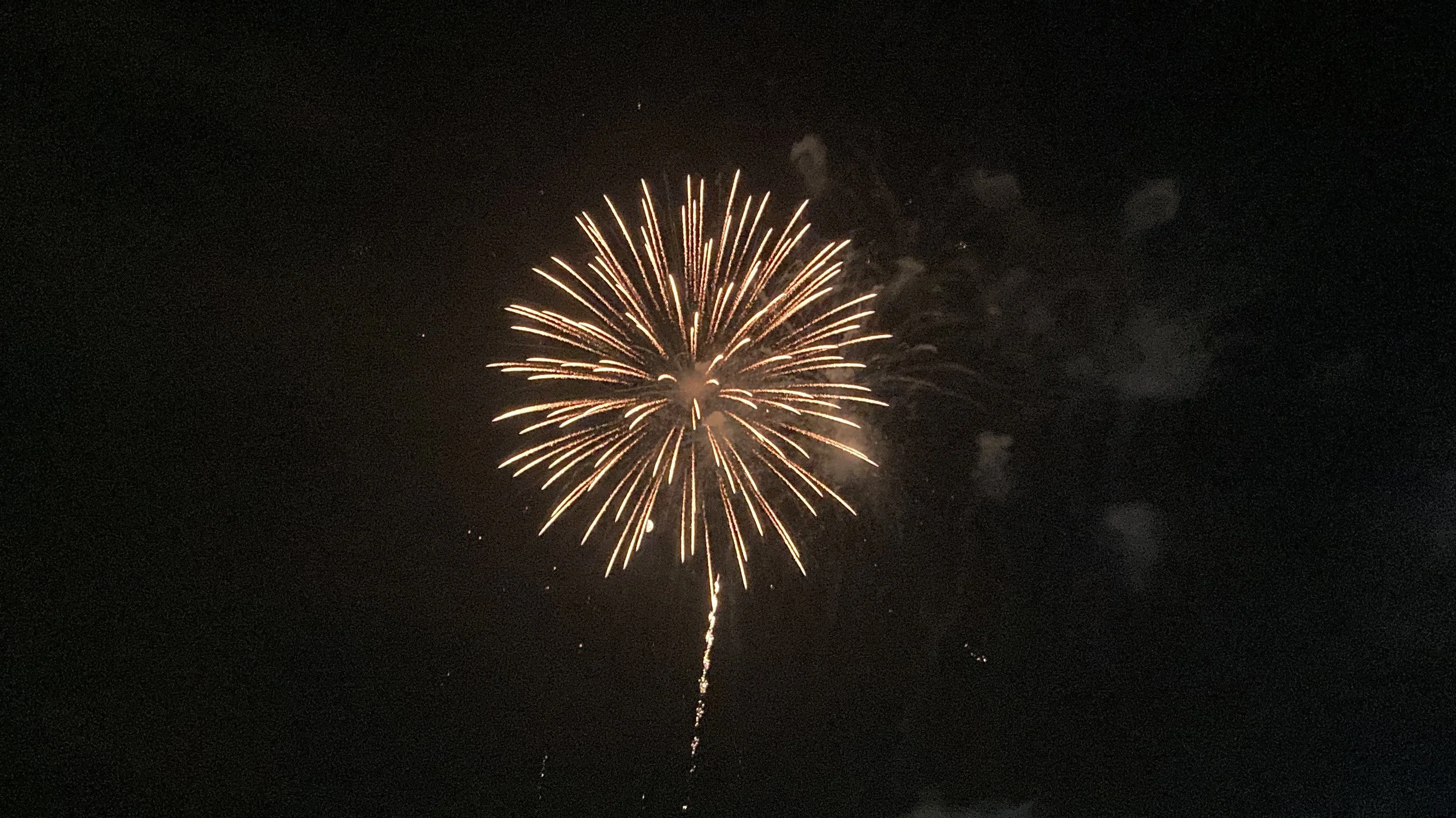 Fireworks exploding in the night sky with bright streaks radiating outward.