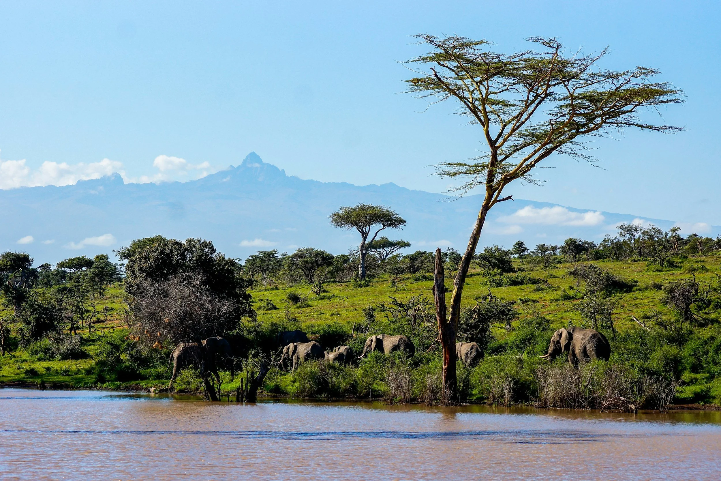 Explore Mount Kenya