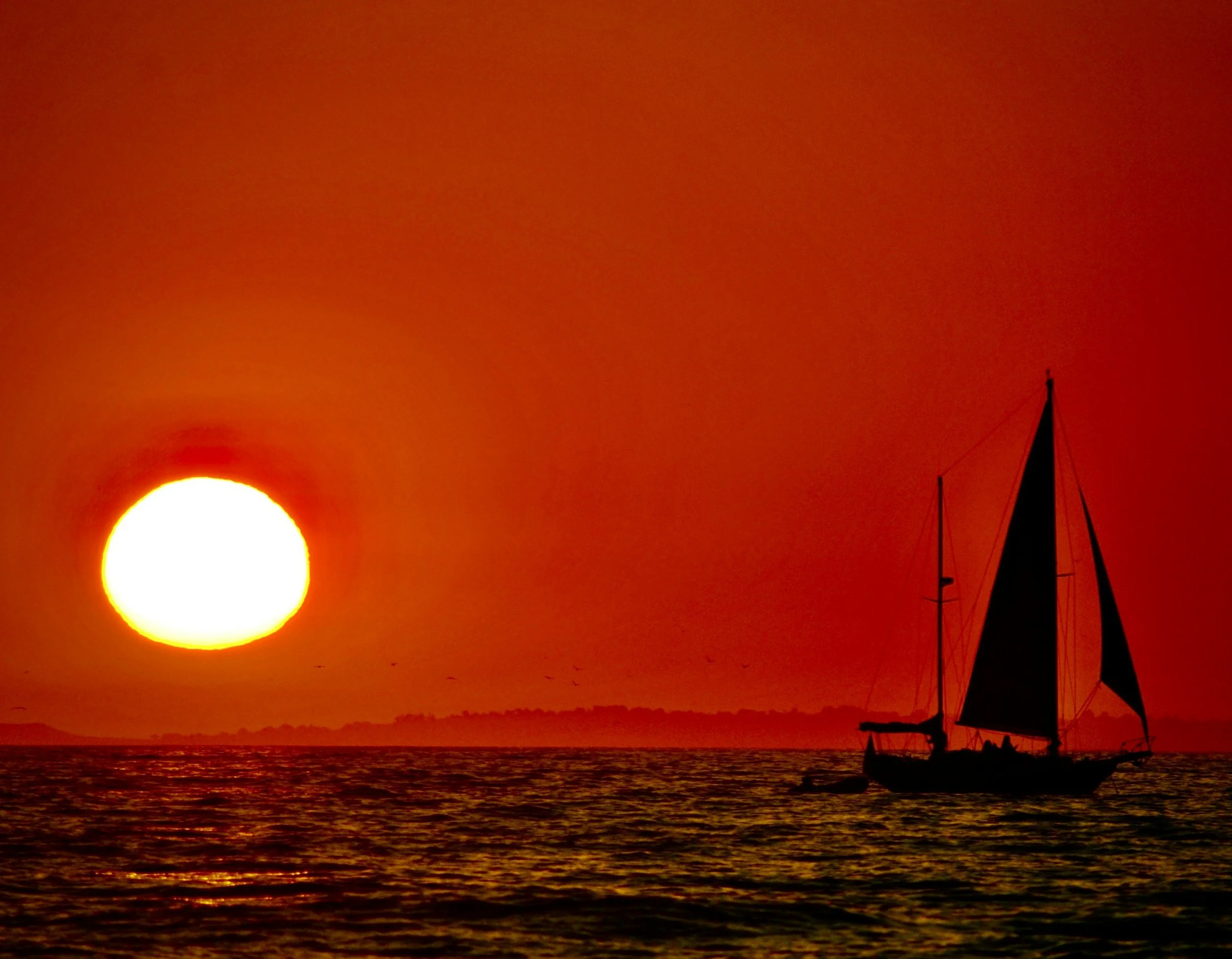 Sail Lamu Sunsets