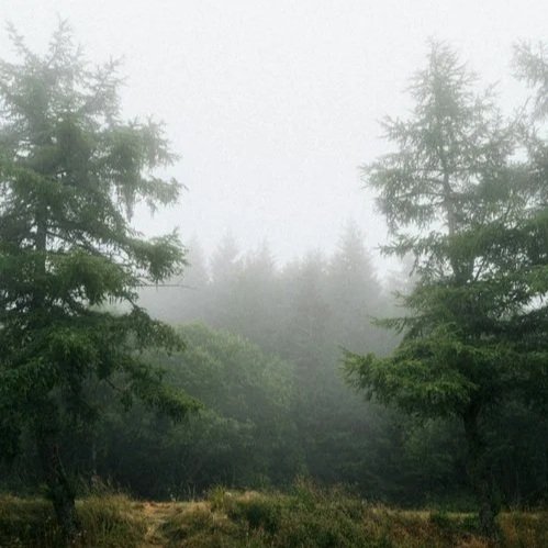 Pelvic Pain Isn’t Rare — So Why Are Patients Still Treated Like It Is? 