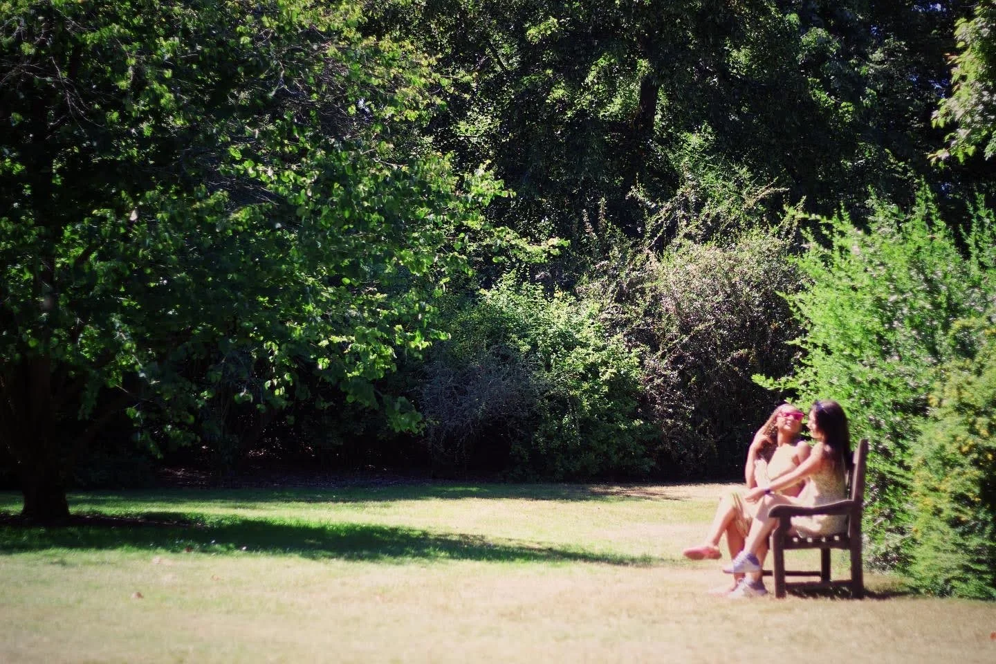Two women sitting on a park bench under the shade of trees on a sunny day, engaging in conversation.