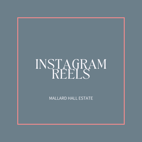 Instagram Reels