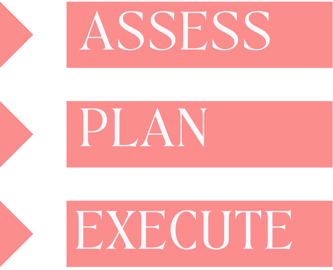 Flowchart with three pink rectangular boxes connected by arrows, labeled 'Assess,' 'Plan,' and 'Execute' in white text.