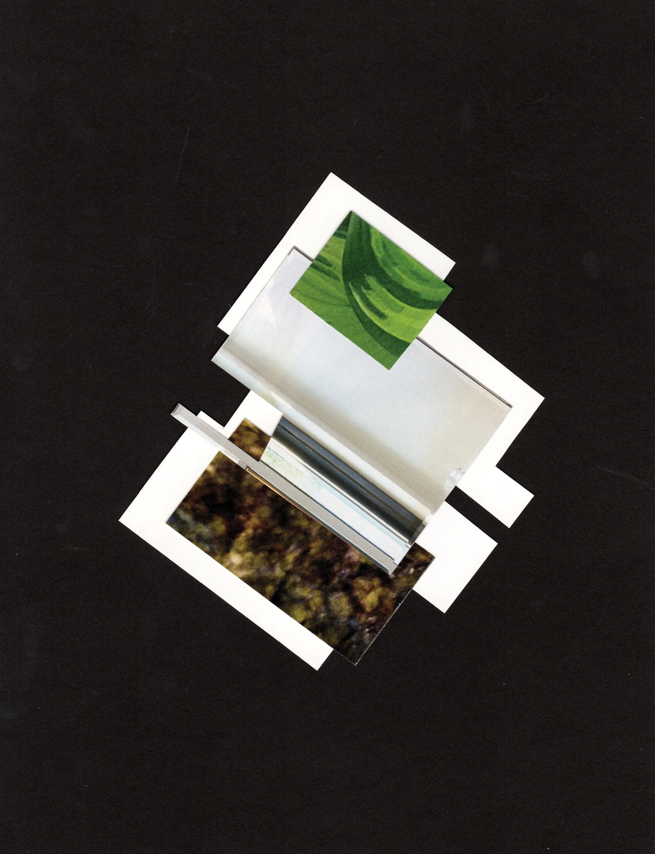 Green & Mirror Collage Date Unknown.jpg