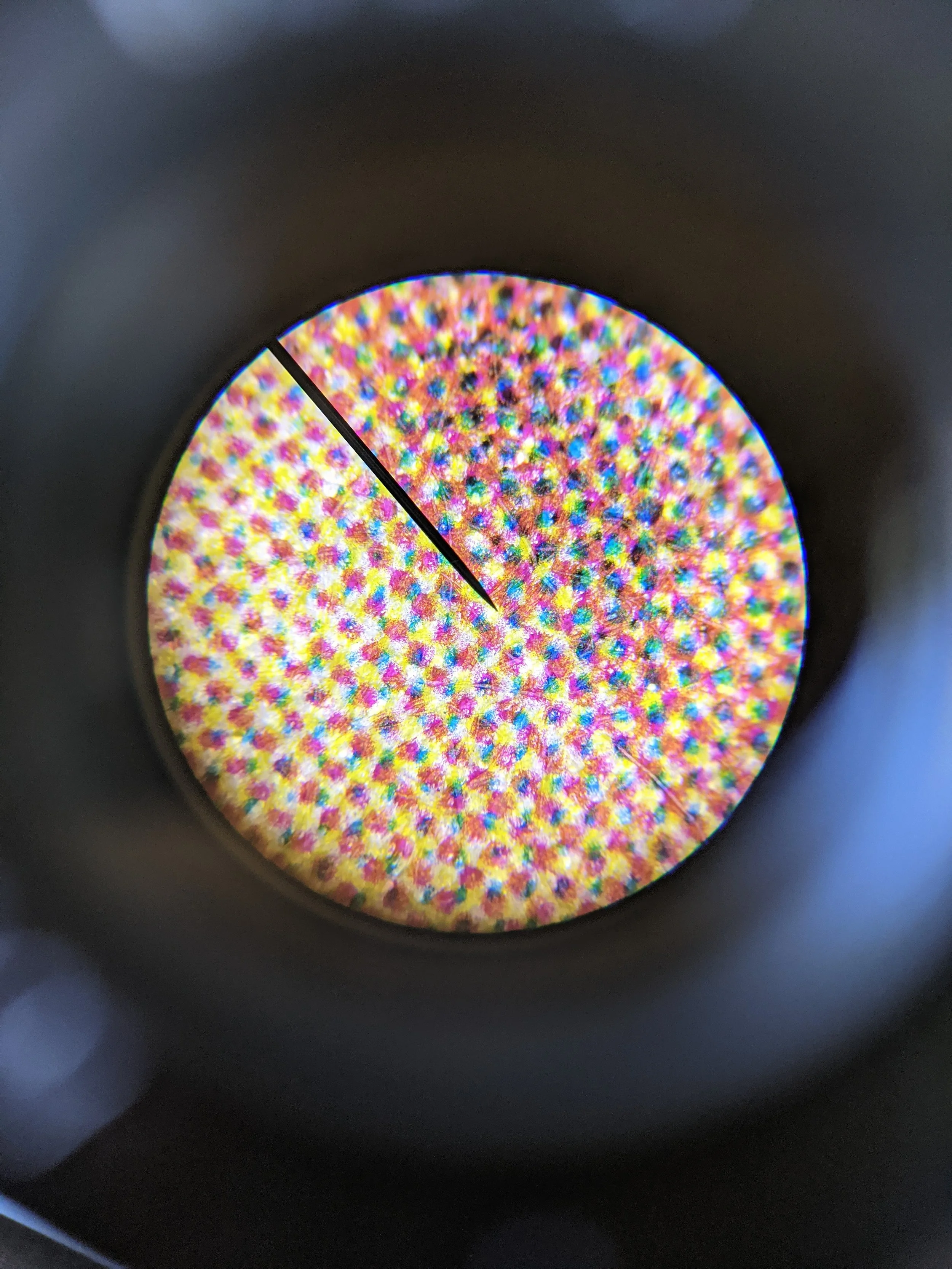 PXL_20210920_152511161.MP.jpg