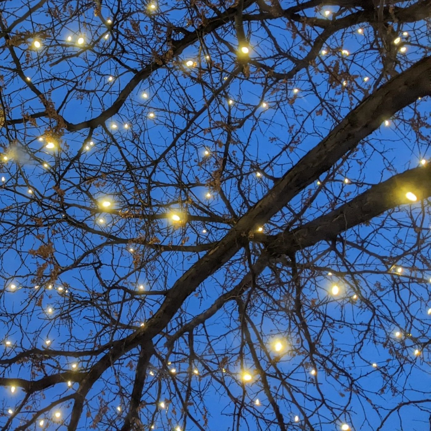 Glimmers