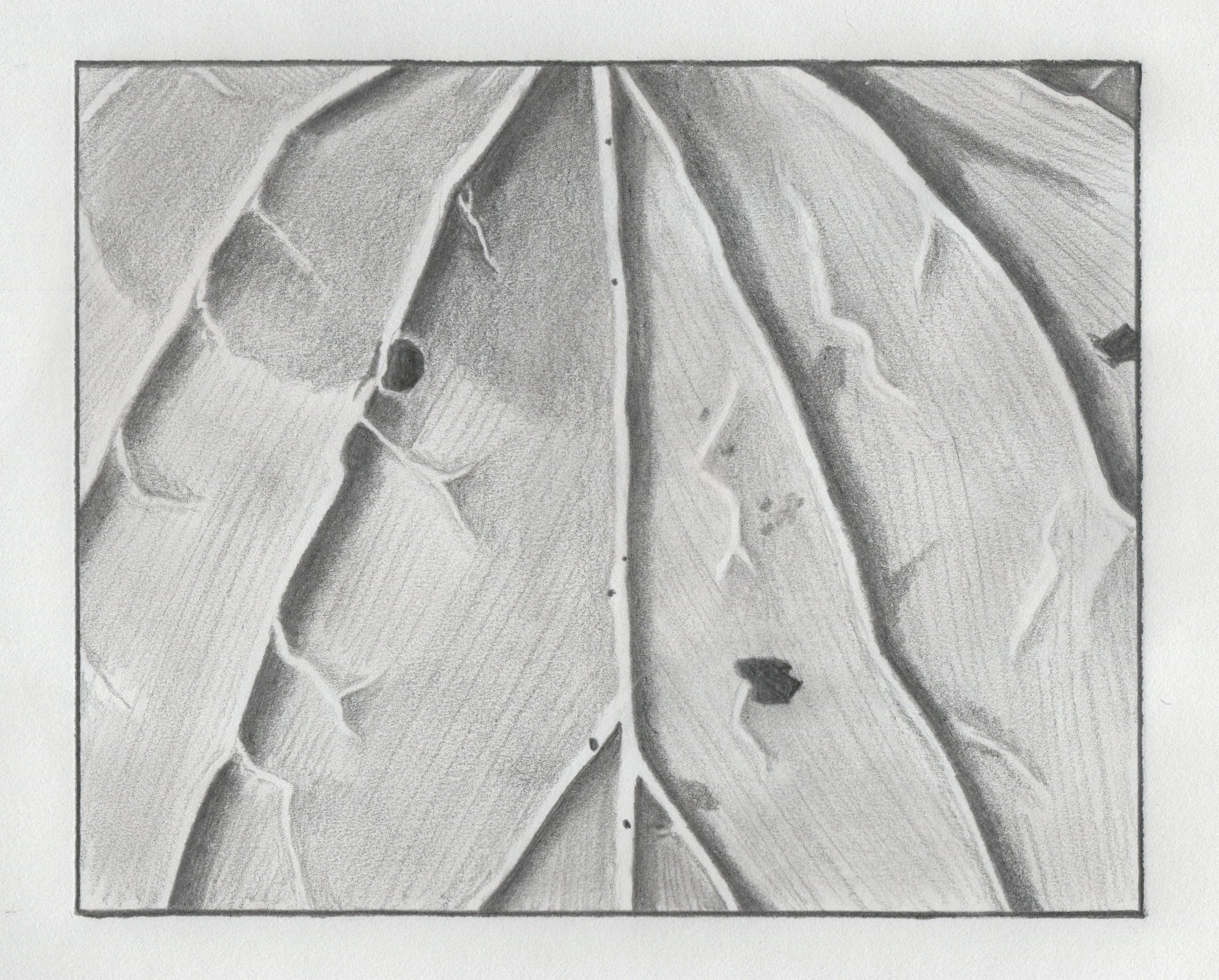 Leaf College 2009-2013.jpg