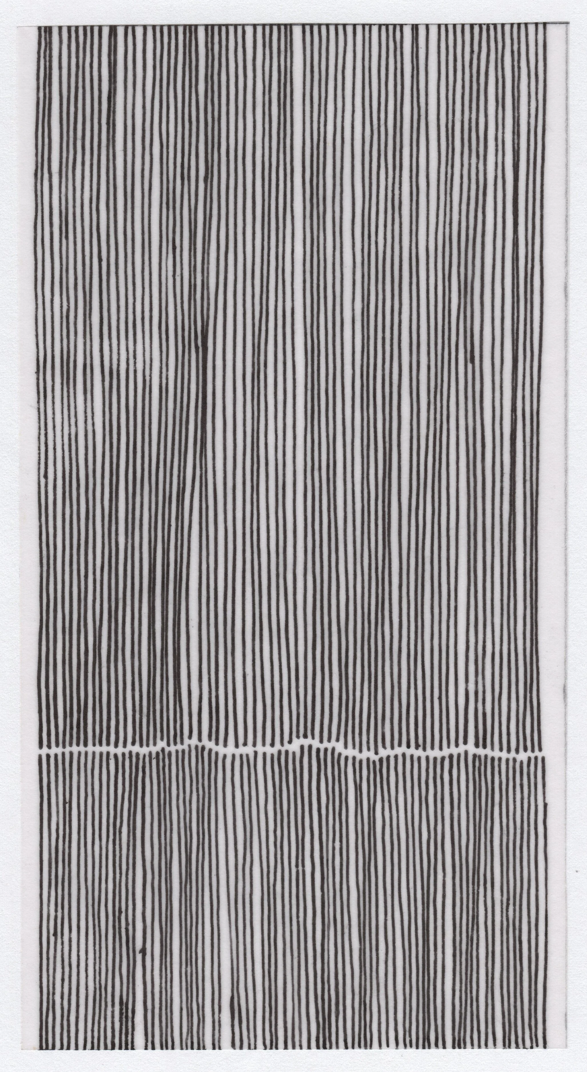 Lines - Vellum 02.jpg