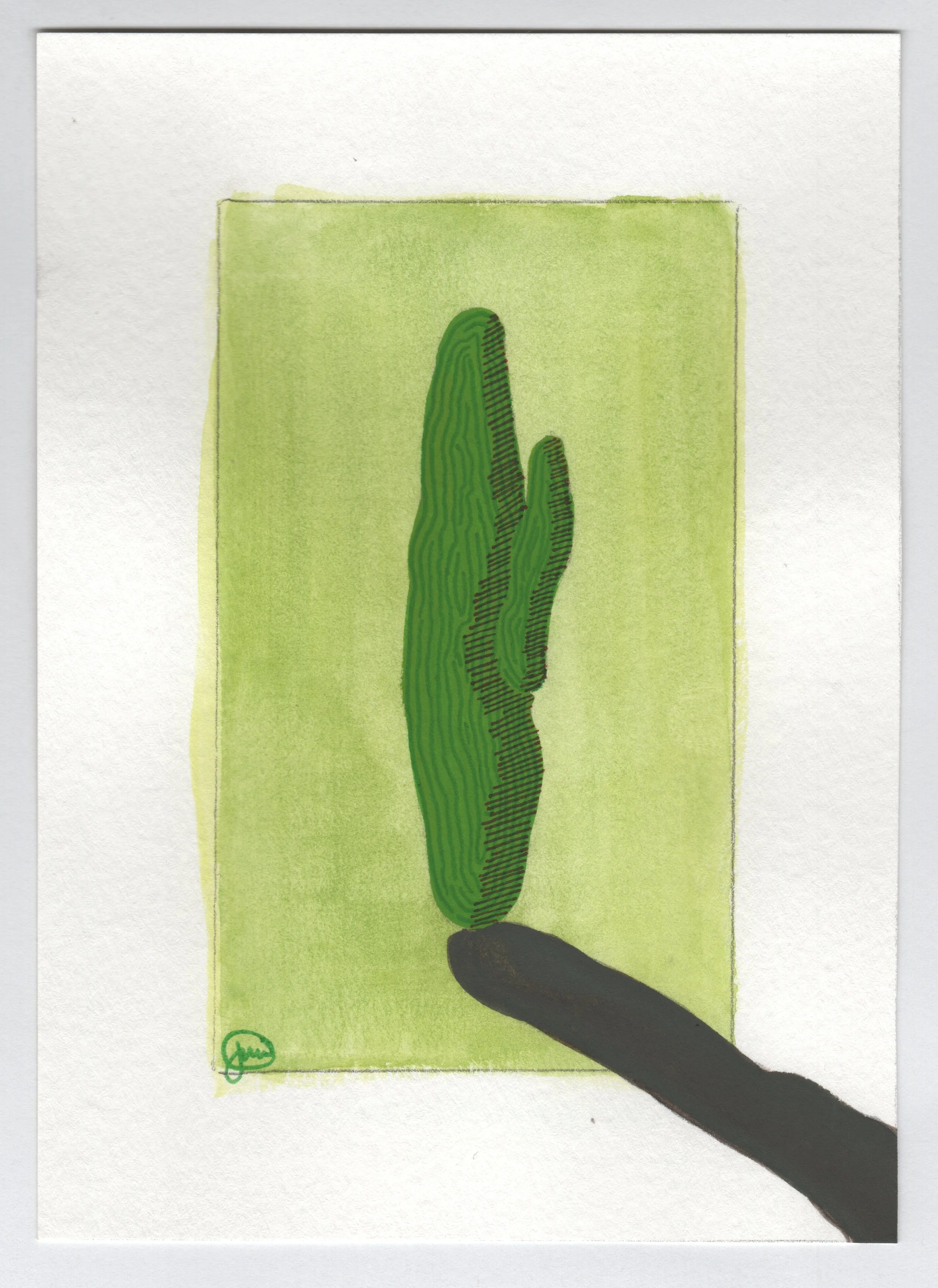 Cactus 2023.12.17.jpg