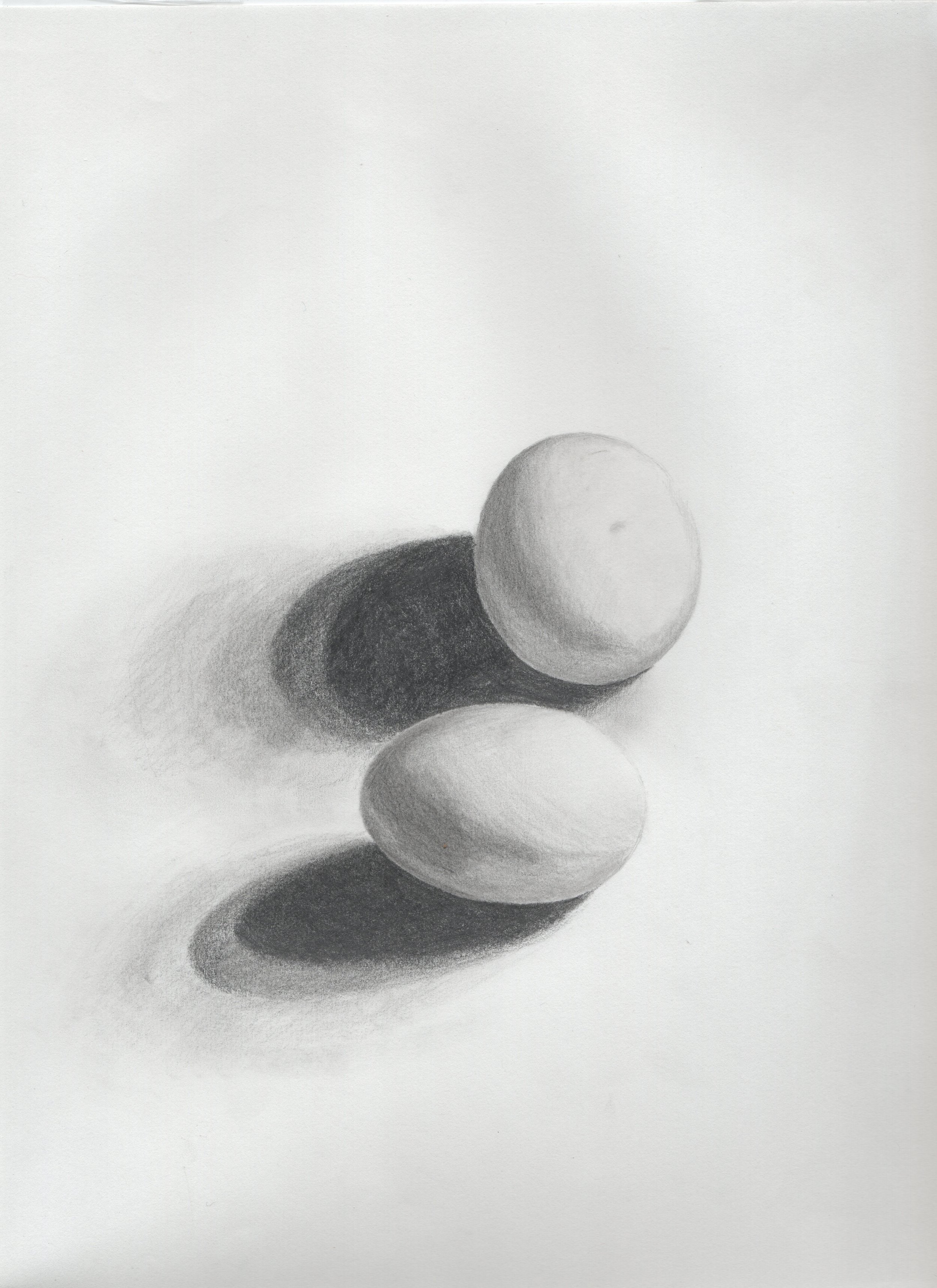 Egg Drawing 2010 Approx.jpg