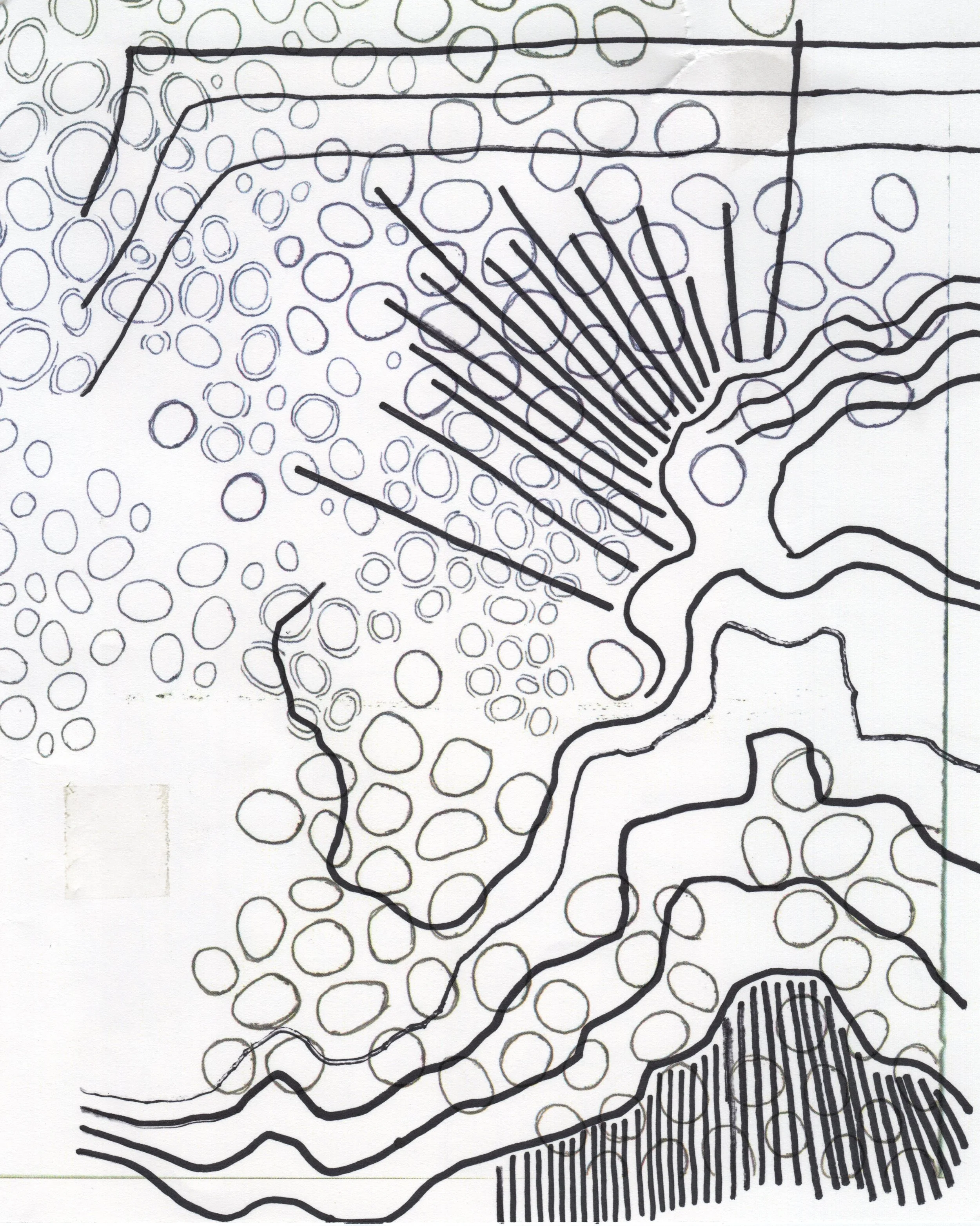 Lines 2019.09 Approx~2.jpg