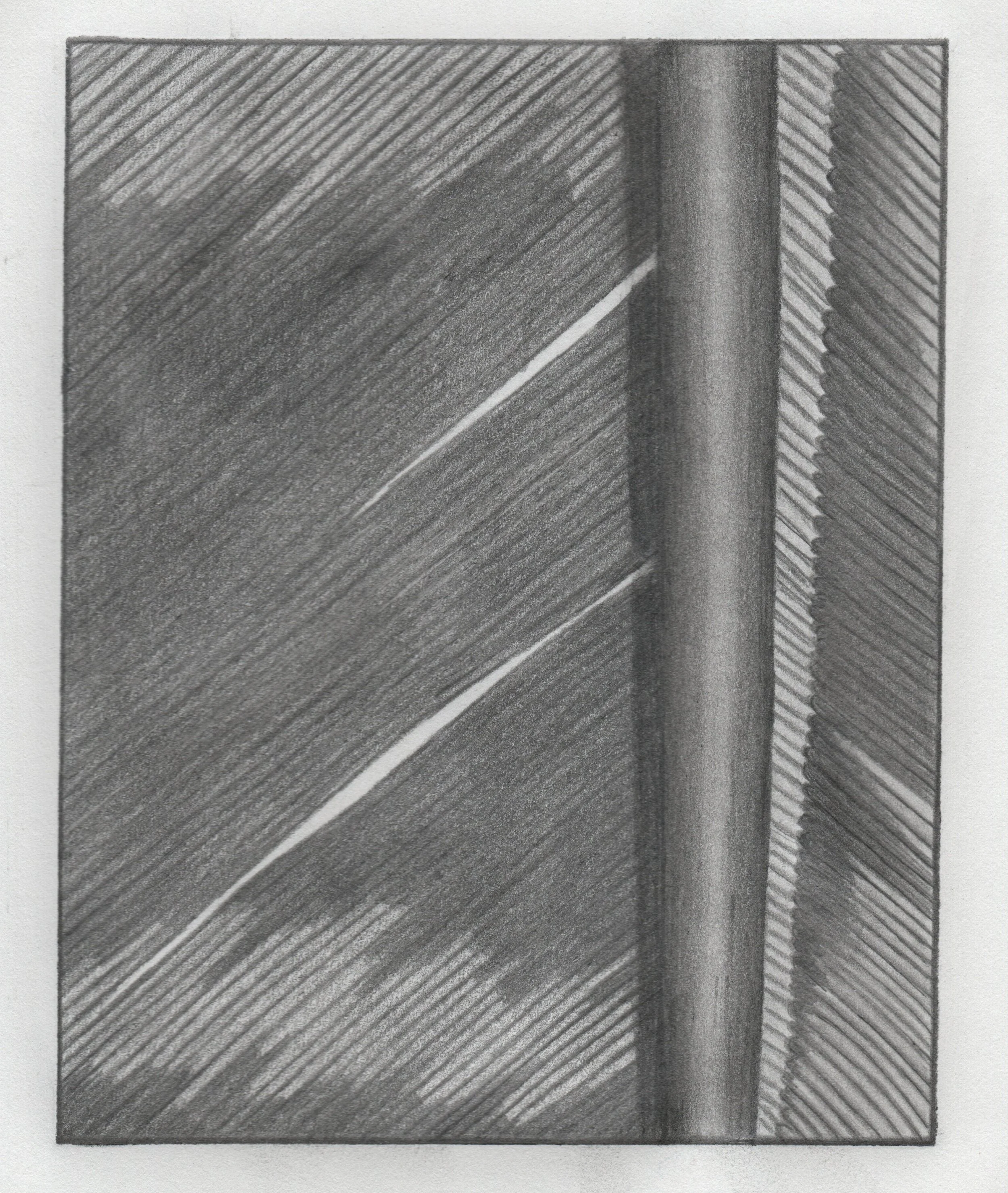Feather College 2009-2013.jpg