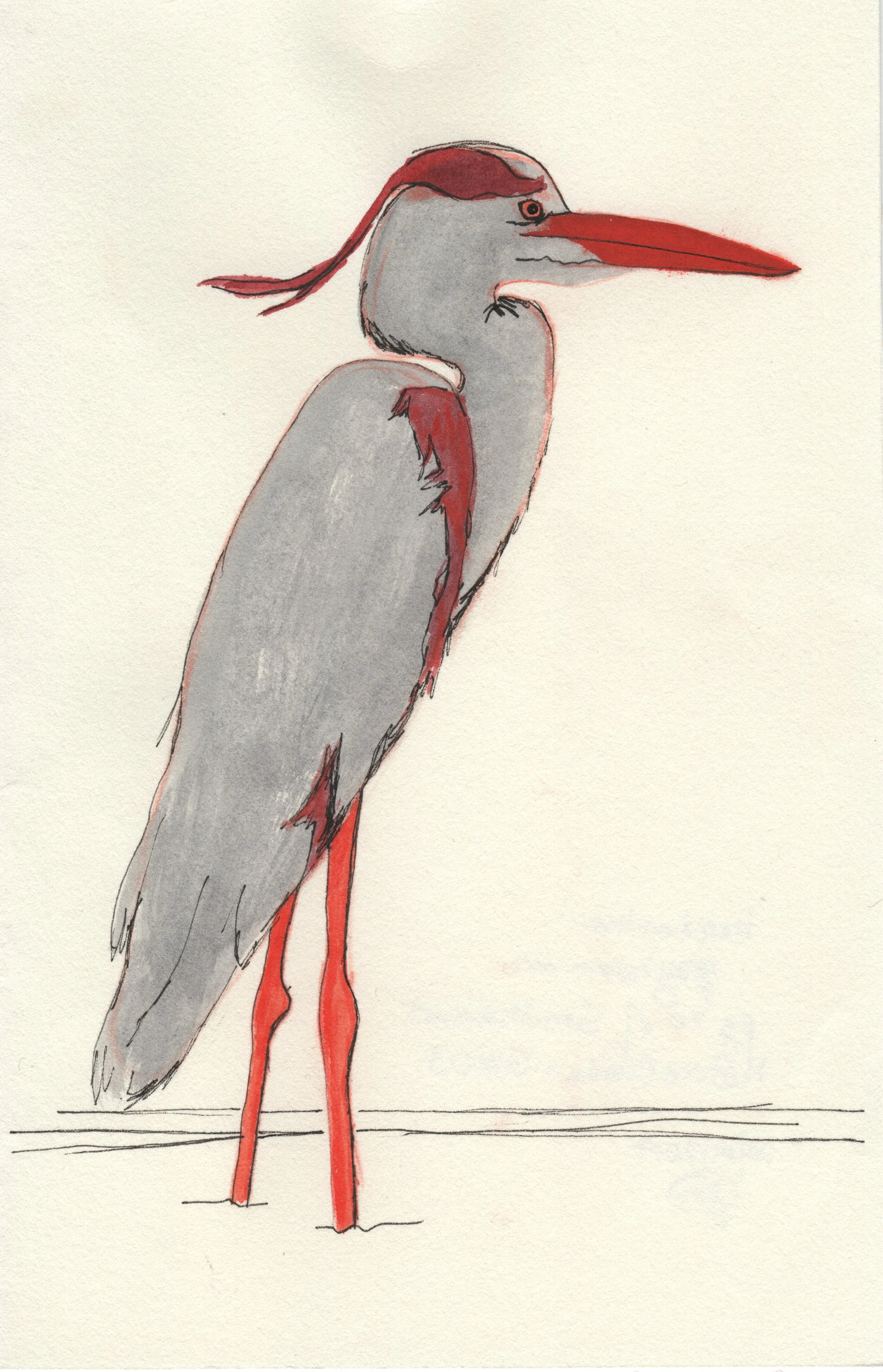 Gray Heron Mixed Media Dwg 2017.10.01.jpg