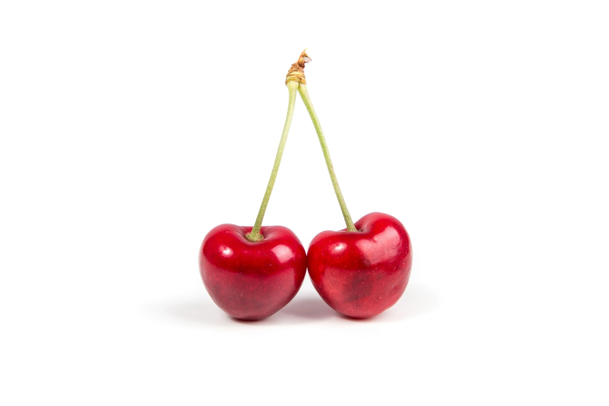 Two cherries with connected stems on a white background.