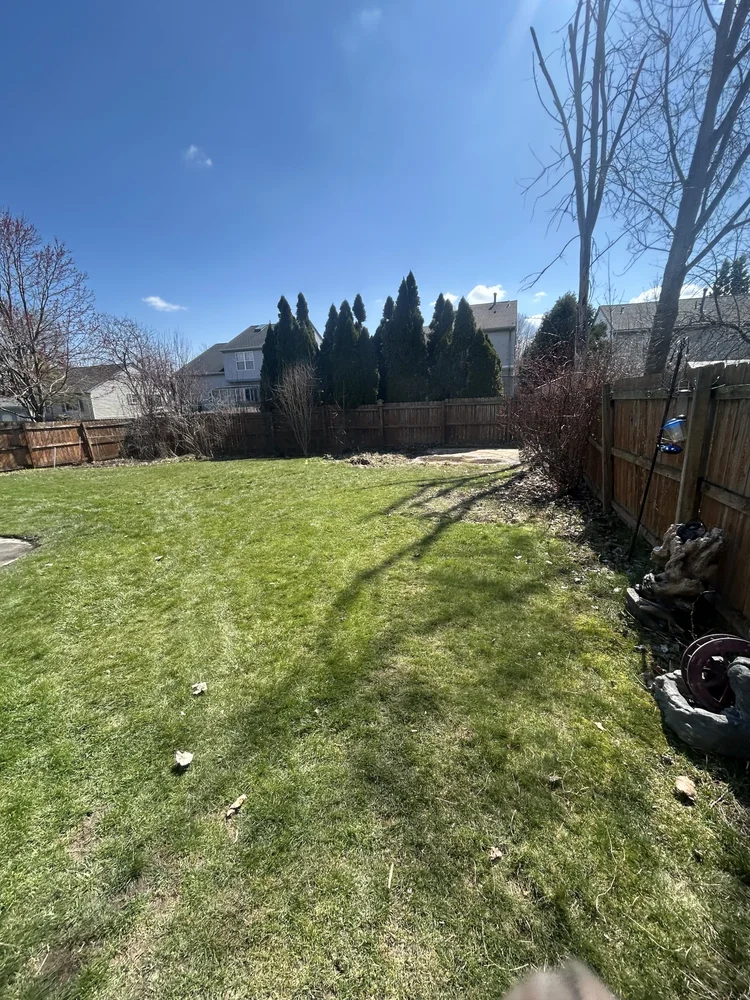 A backyard with a grassy lawn, wooden fence, trees, shrubs, and houses in the background, under a clear blue sky.