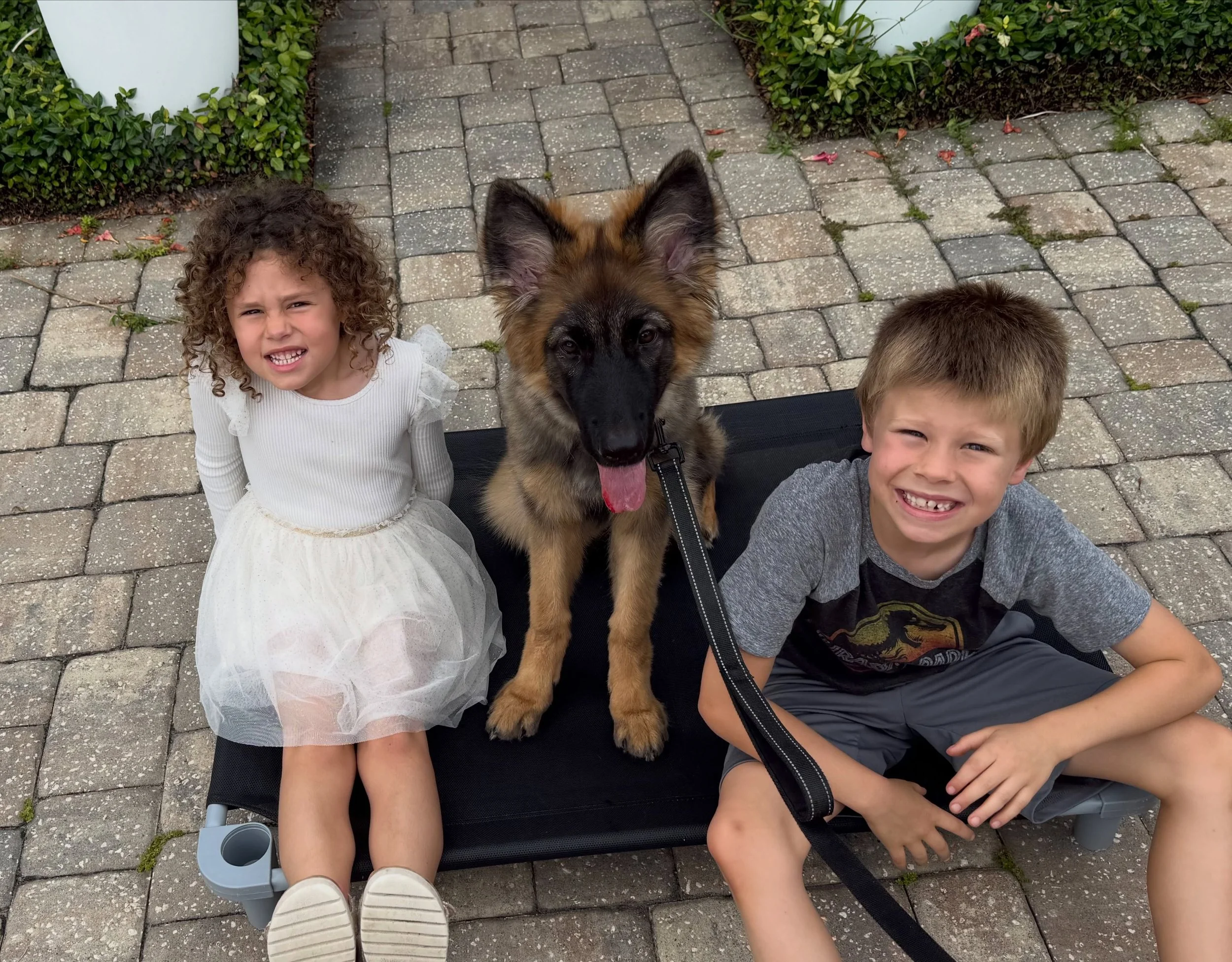 Skye came to us as a young puppy&mdash;full of energy, curiosity, distractions, and all the normal puppy behaviors that come with being 4-5 months old.

One of the biggest misconceptions about board and train programs is that your dog comes home as a